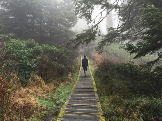 The sometimes lonely path of the independant small business owner
