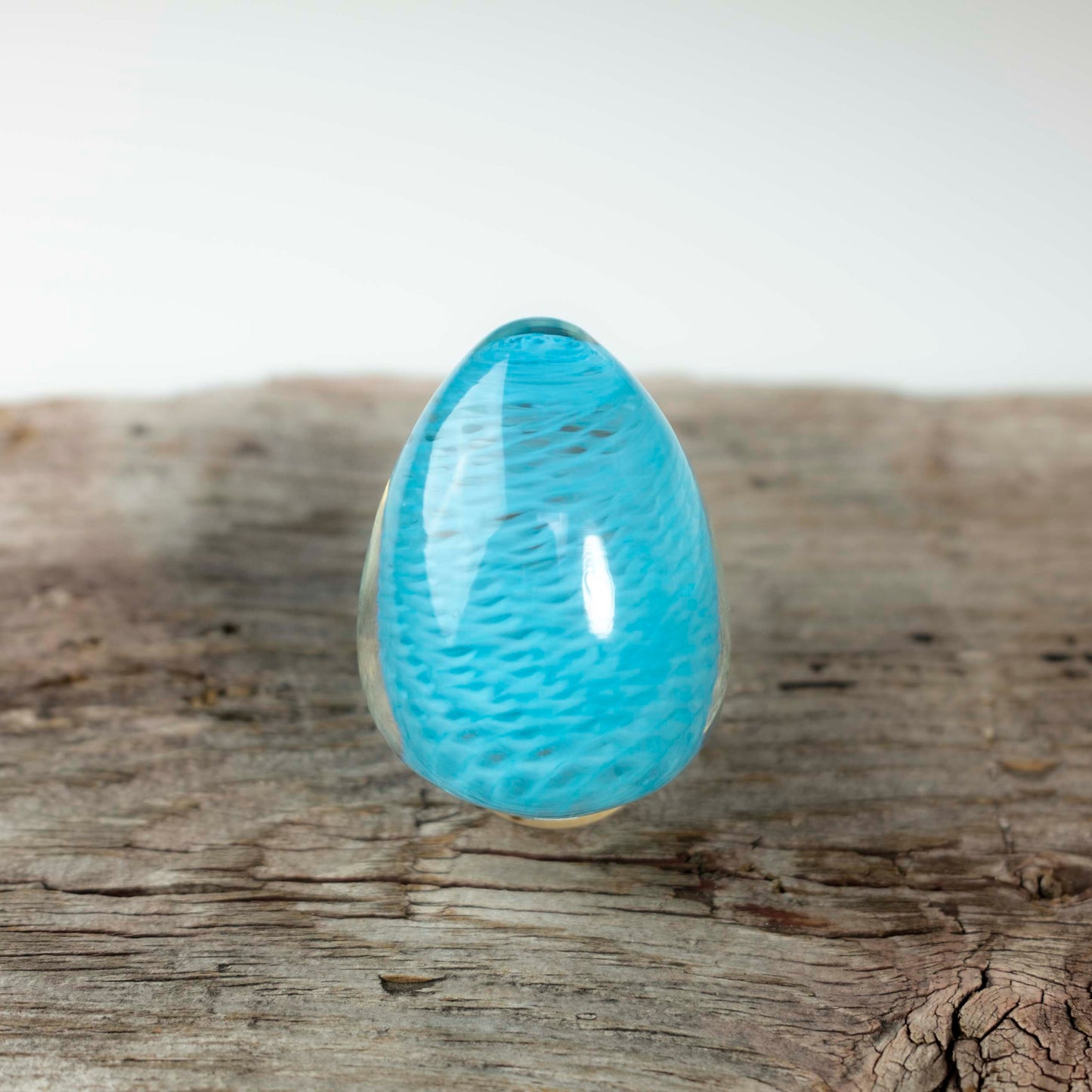 2025 Spring Egg Collection