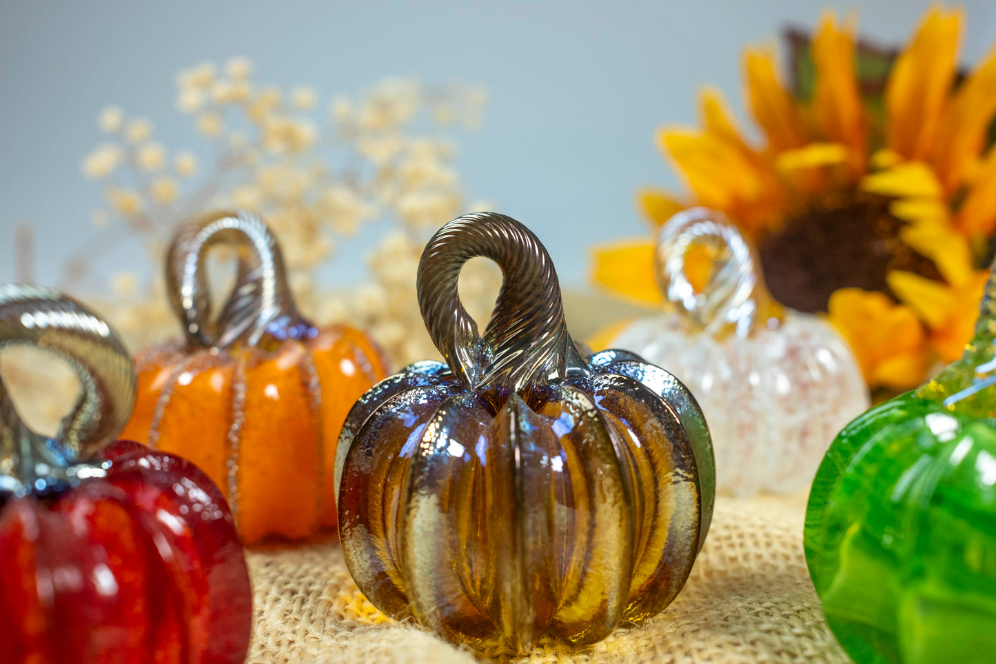 Pumpkinettes ~ 2025 Signature Colors