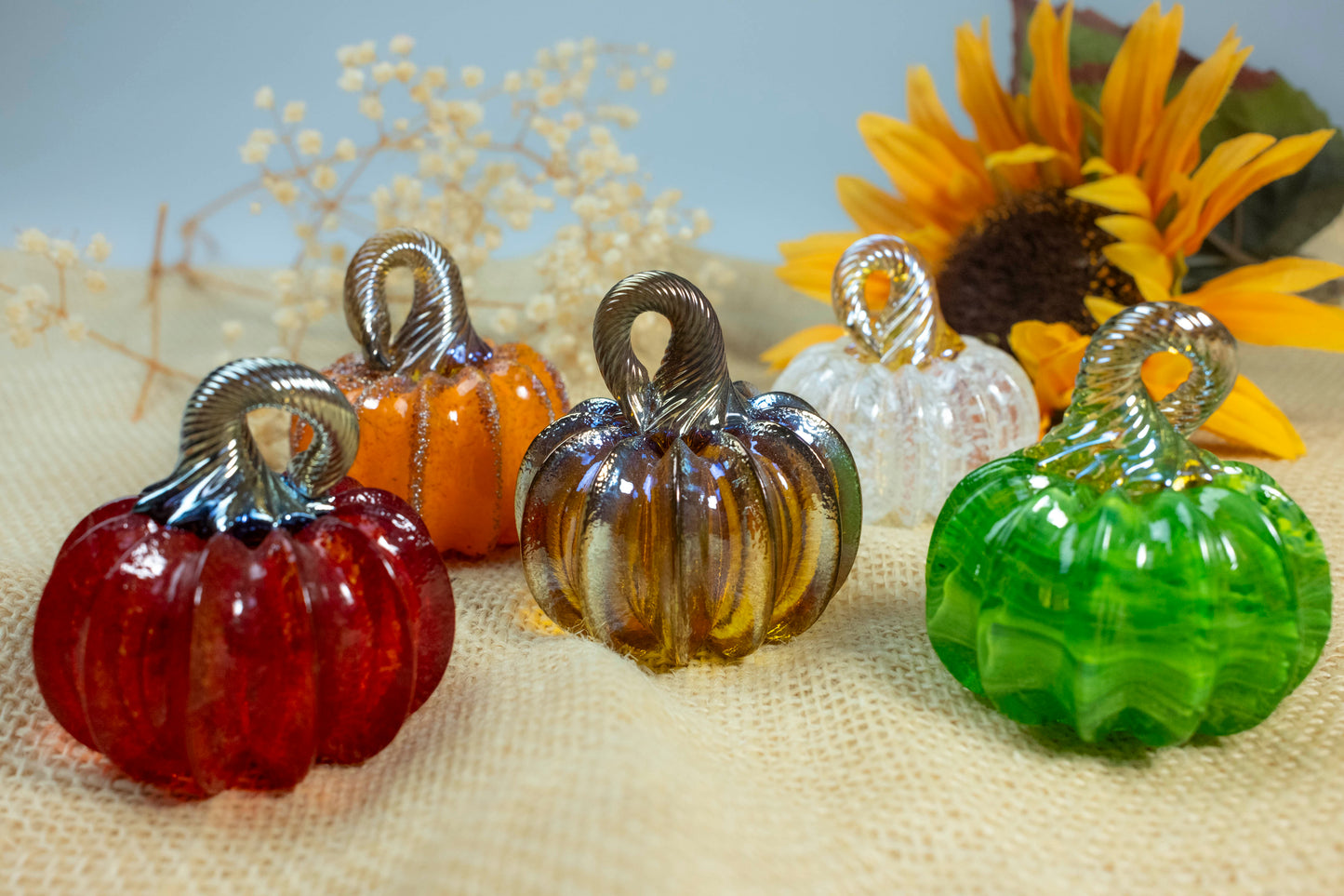 Pumpkinettes ~ 2025 Signature Colors