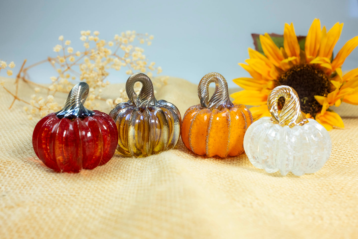 Pumpkinettes ~ 2025 Signature Colors