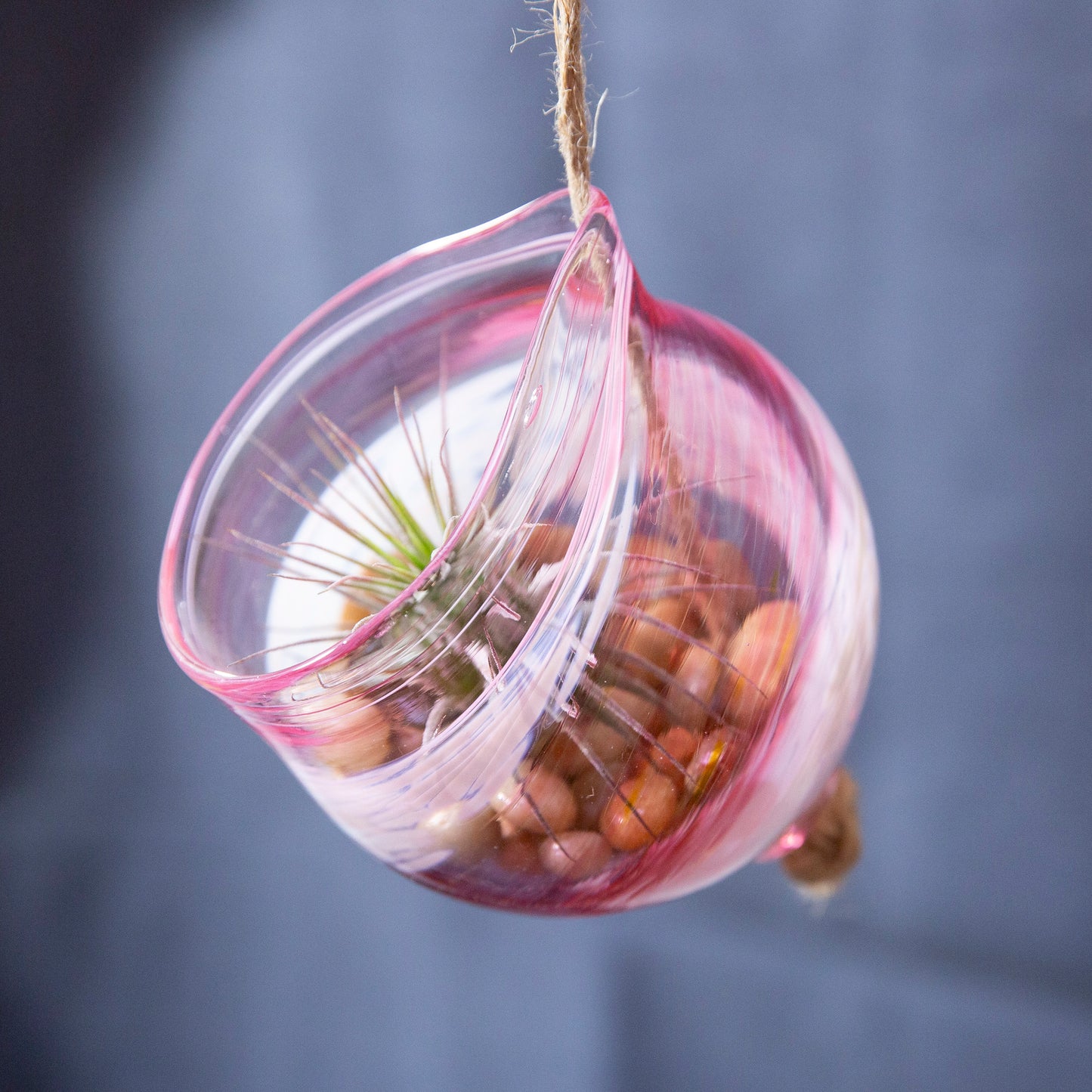 CLASS EXPERIENCE: ERO ~ A Glass Hangabout for Plants