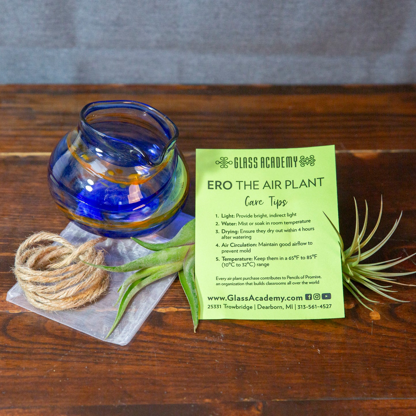 A blue and orange air plant holder sits on a wooden desk next to coiled rope, two air plants, a mesh baggie, and a green piece of paper detailing Air Plant care tips.