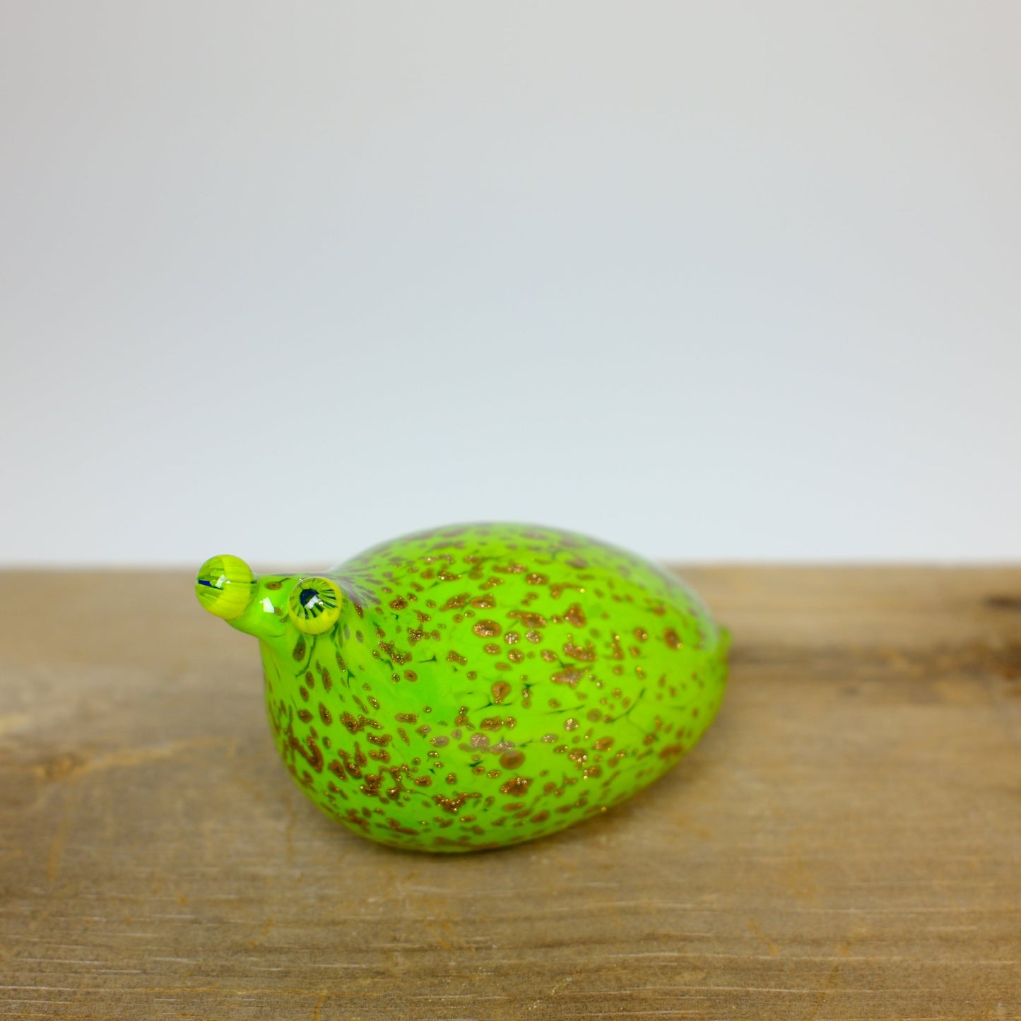 Creature Show 2025 - Slugs