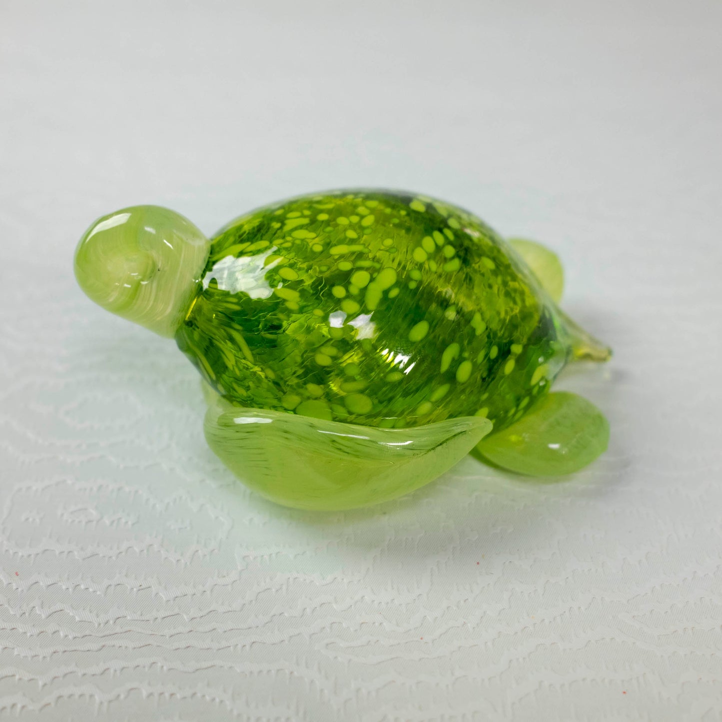 Sea Turtles