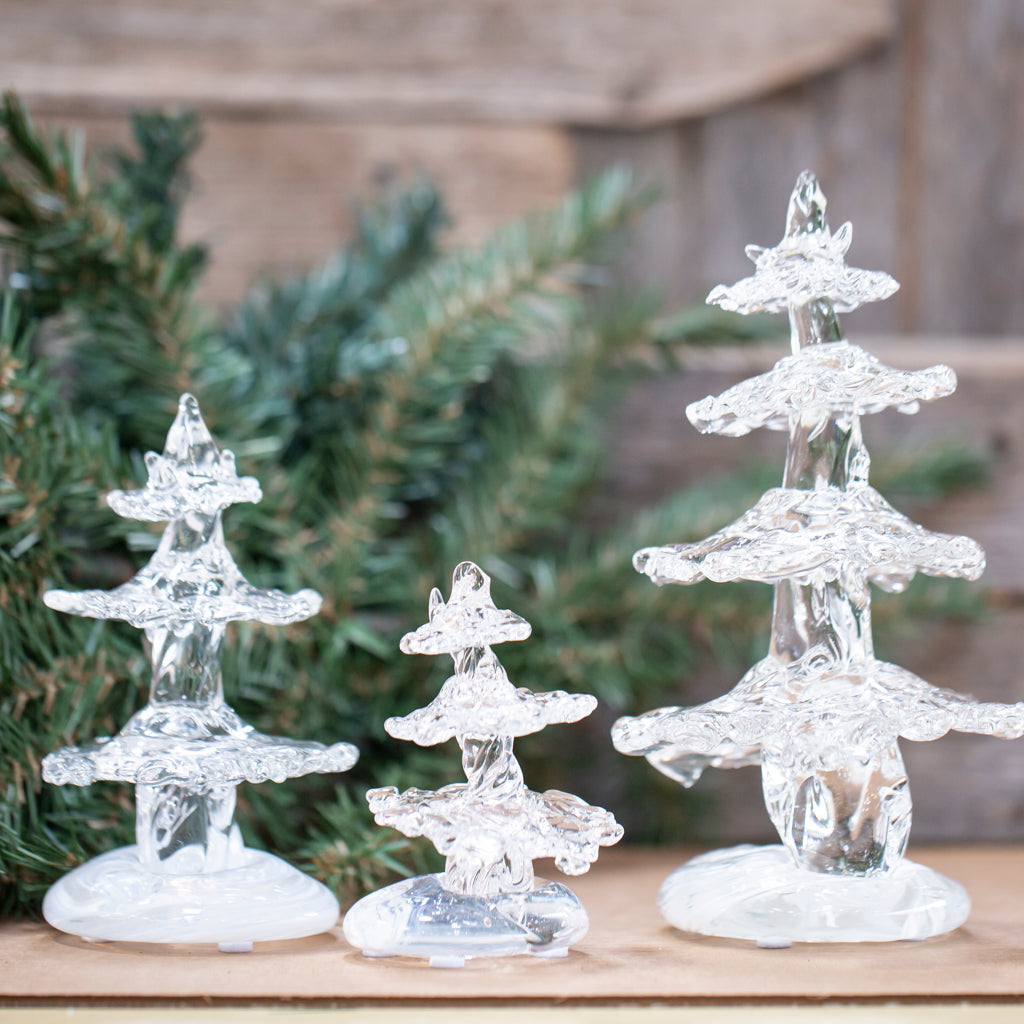 Pine Trees