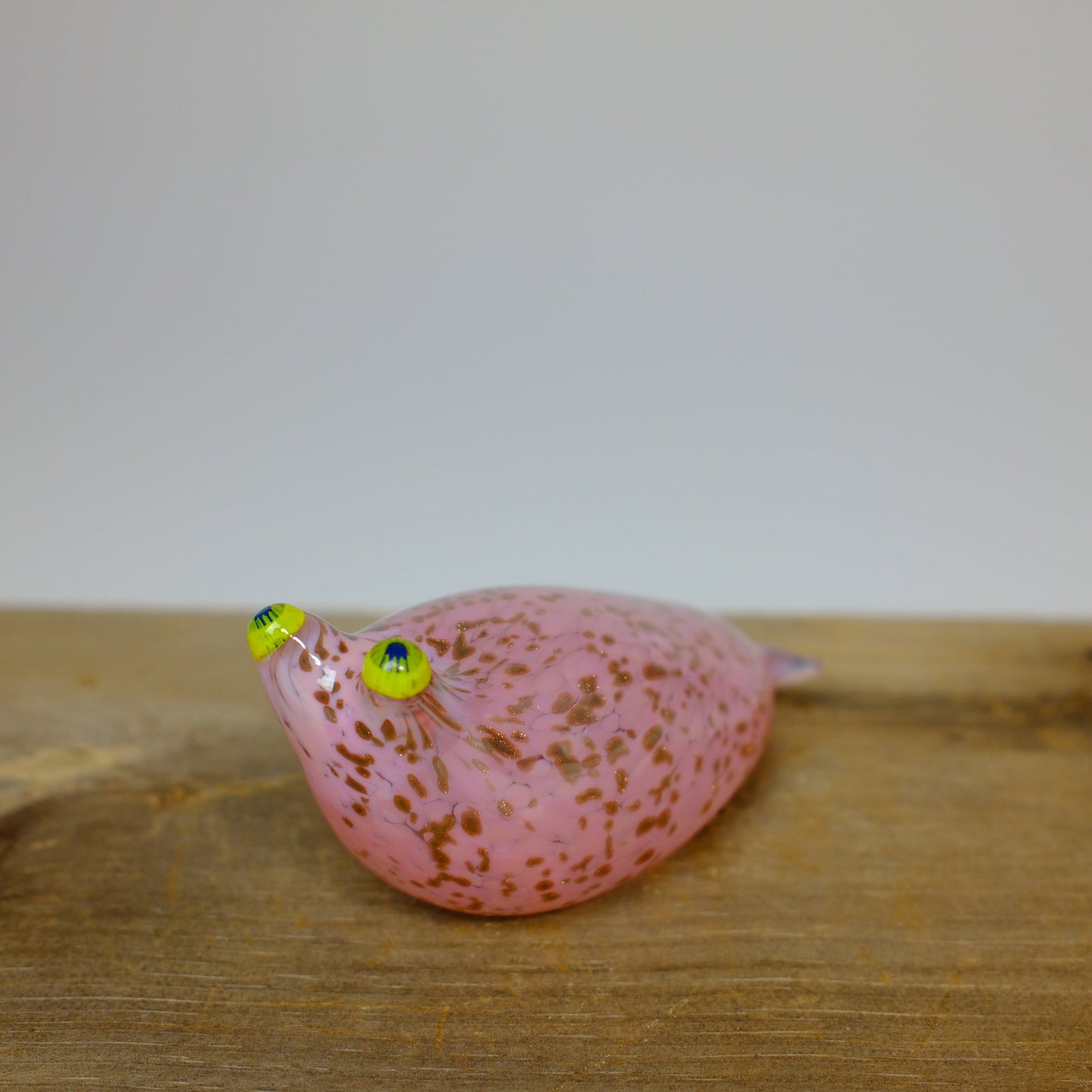 Creature Show 2025 - Slugs