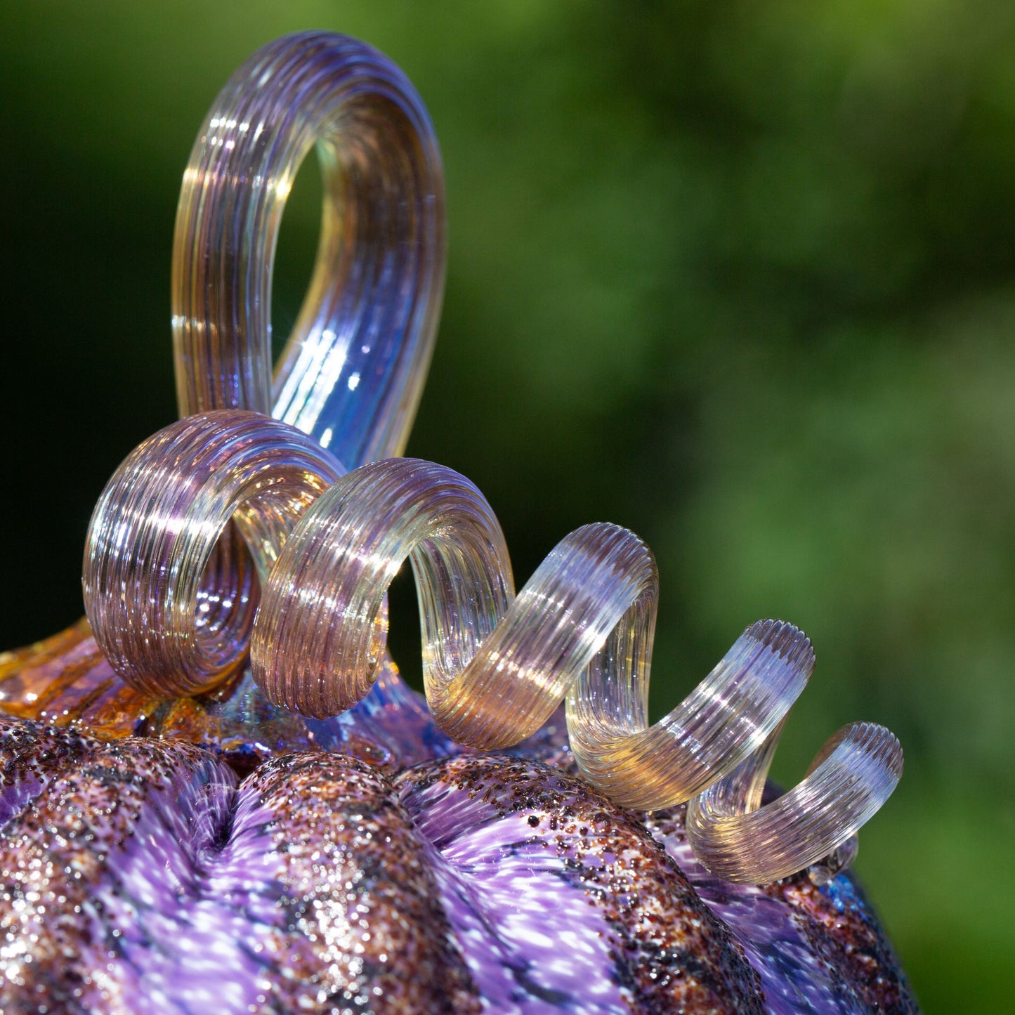 2025 Signature Sugar Plum Pumpkin