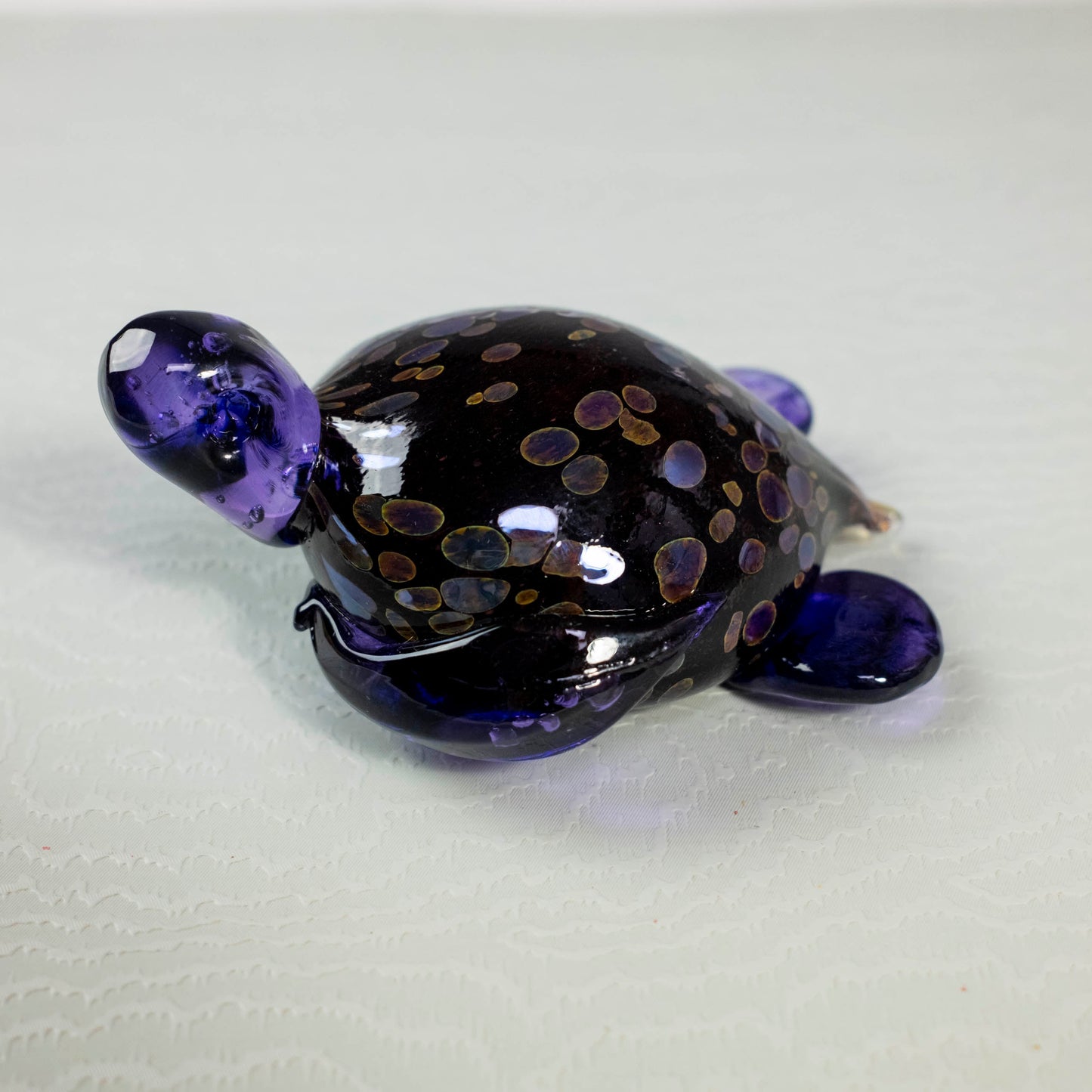 Sea Turtles