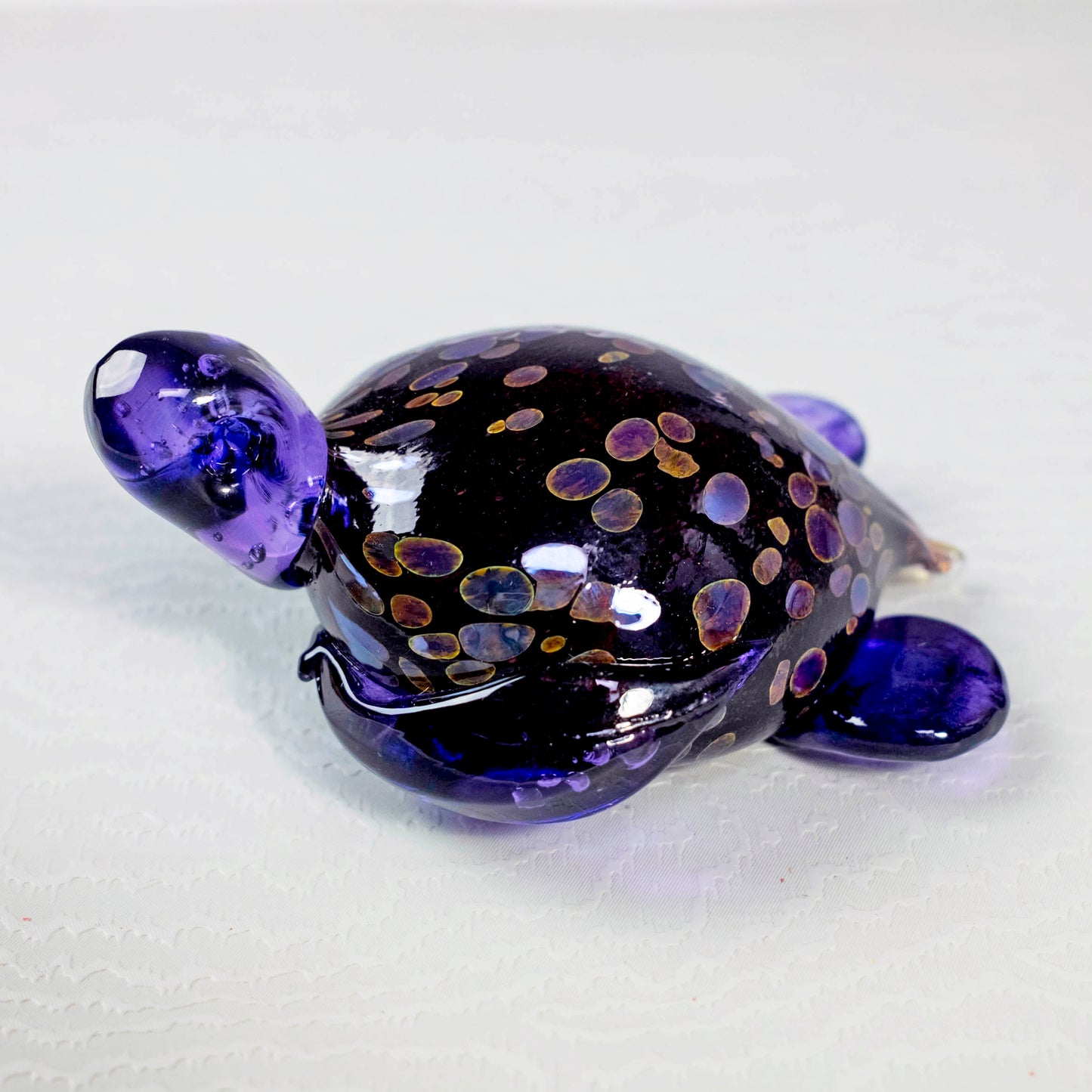Sea Turtles