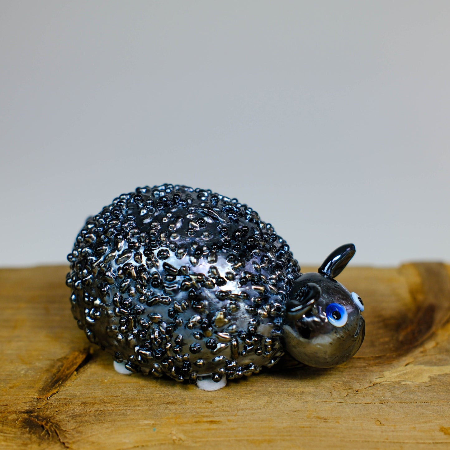 Creature Show 2025 - Sheep