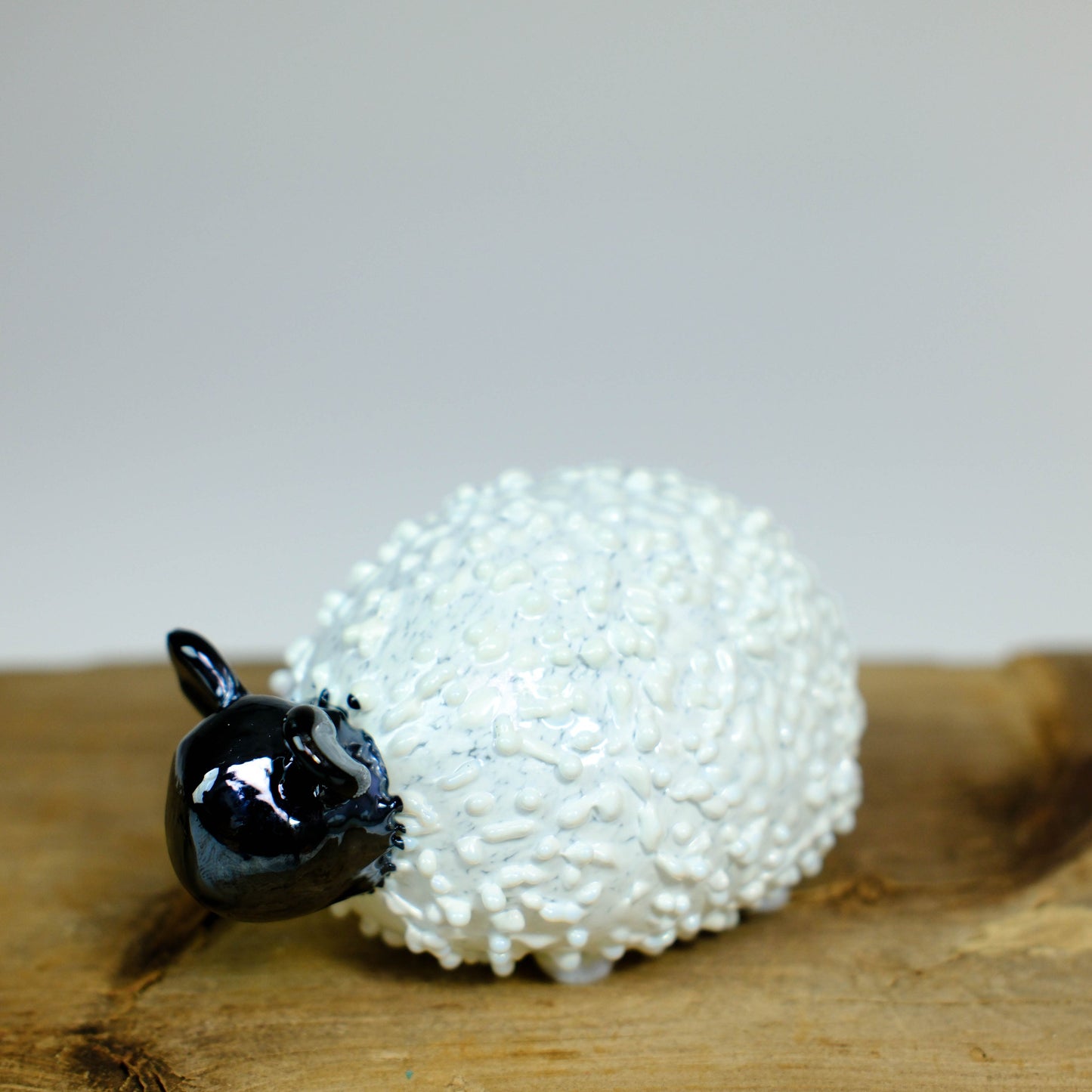 Creature Show 2025 - Sheep