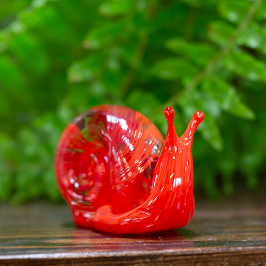 Rainbow Glass Snails