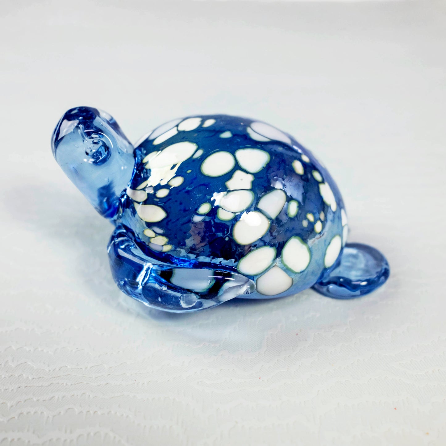 Sea Turtles