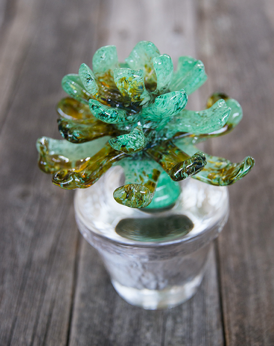 The origin of our glass succulents