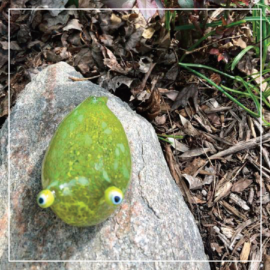 Slugs: Beautiful, Playful, and Made of Glass!