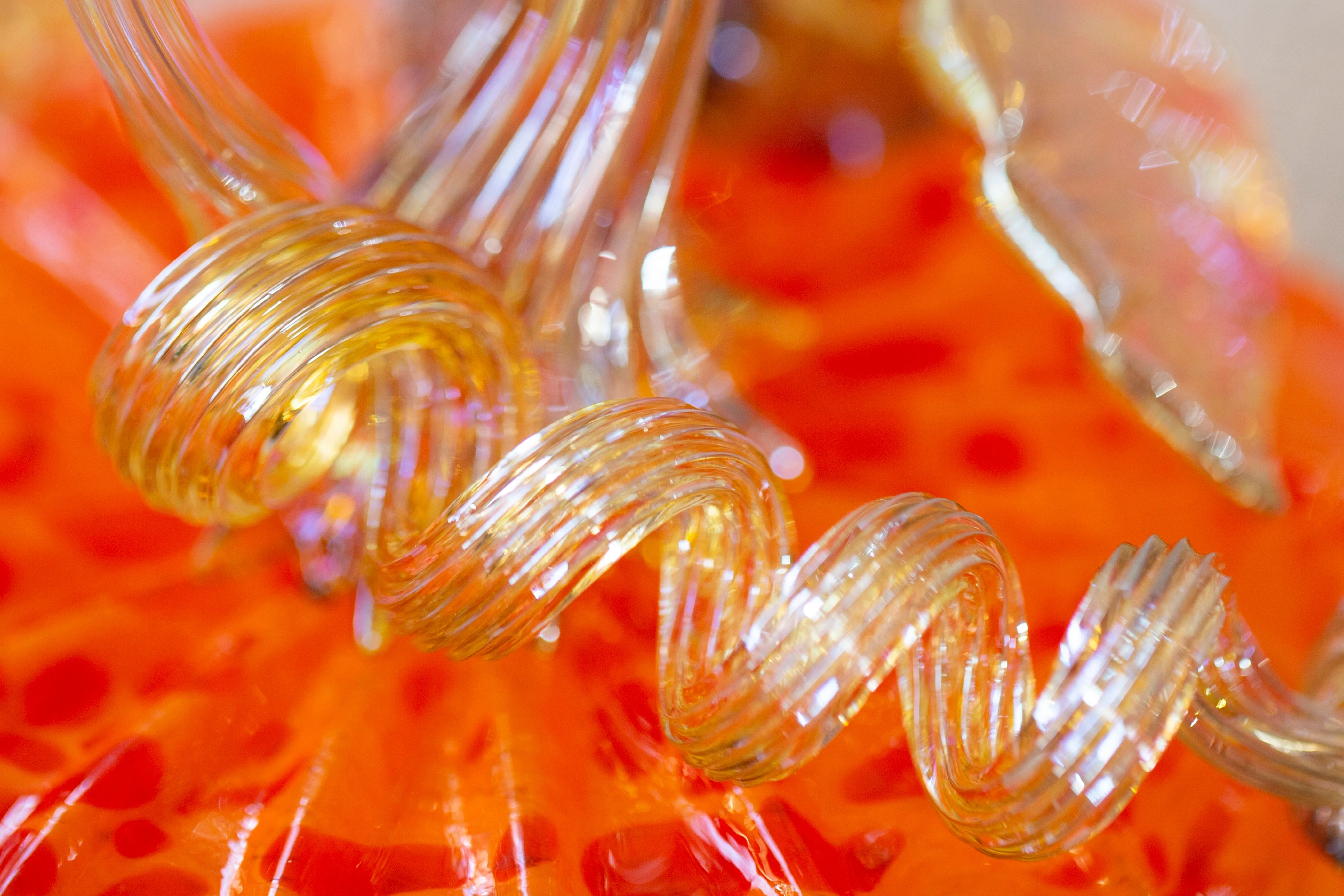 Pumpkins & Fall Harvest – Glass Academy