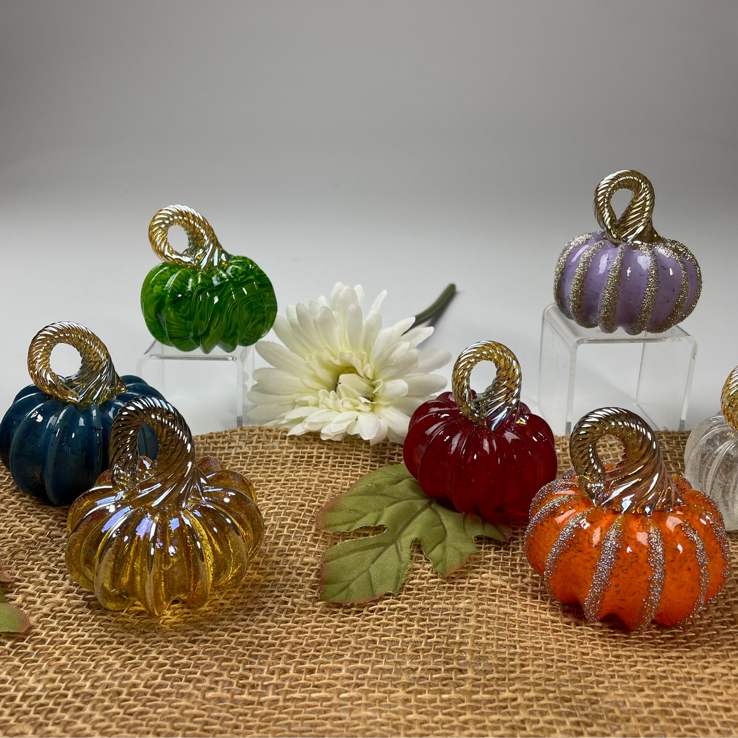 Colorful glass pumpkins on a textured surface with a white flower in the background