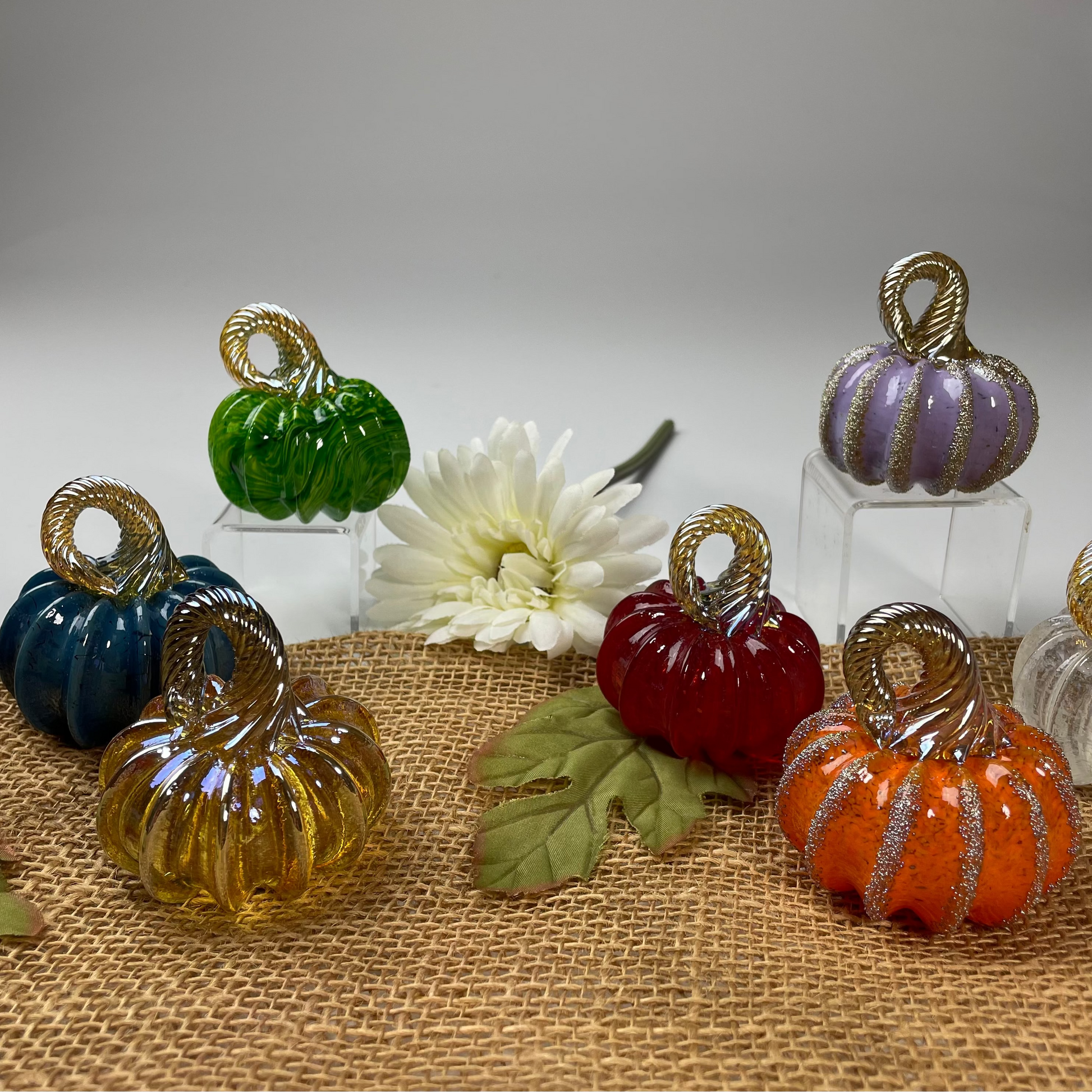 Colorful glass pumpkins on a textured surface with a white flower in the background