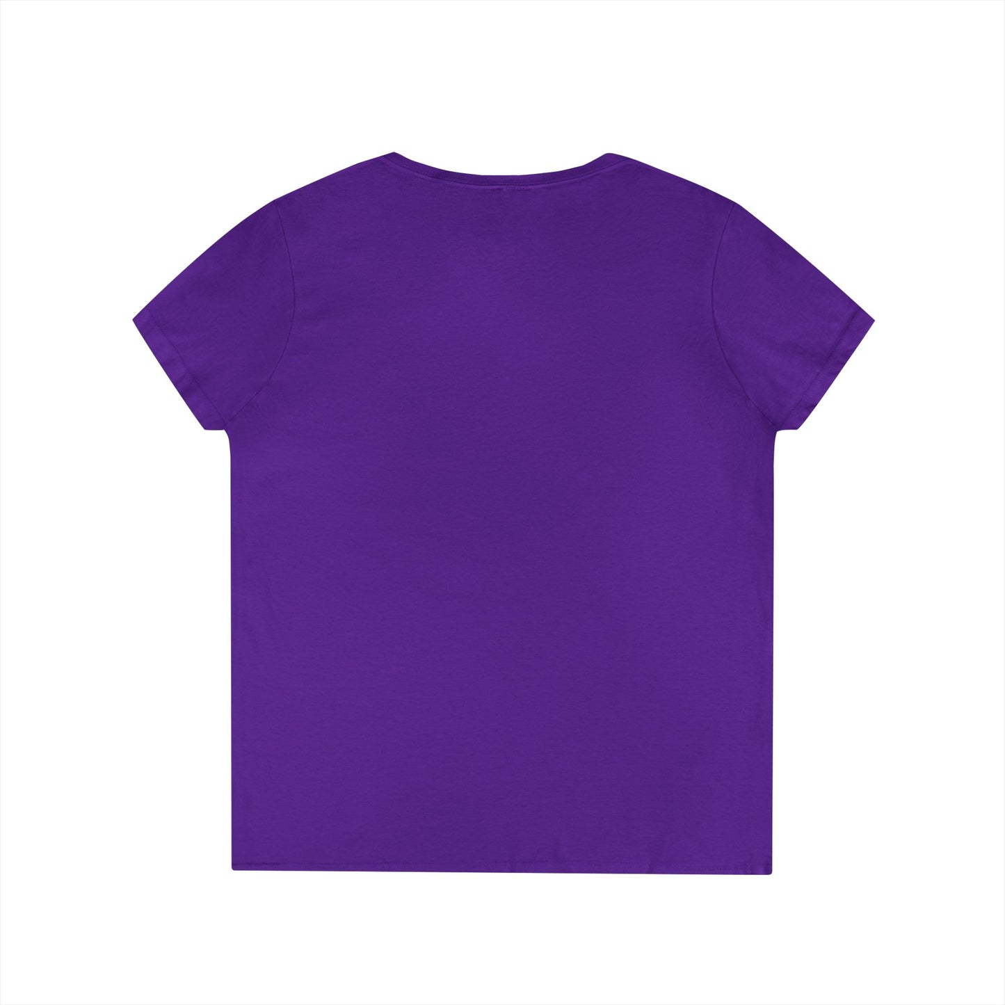 Tee V-Neck  — 'The Nester Owl' Women's Graphic T-Shirt