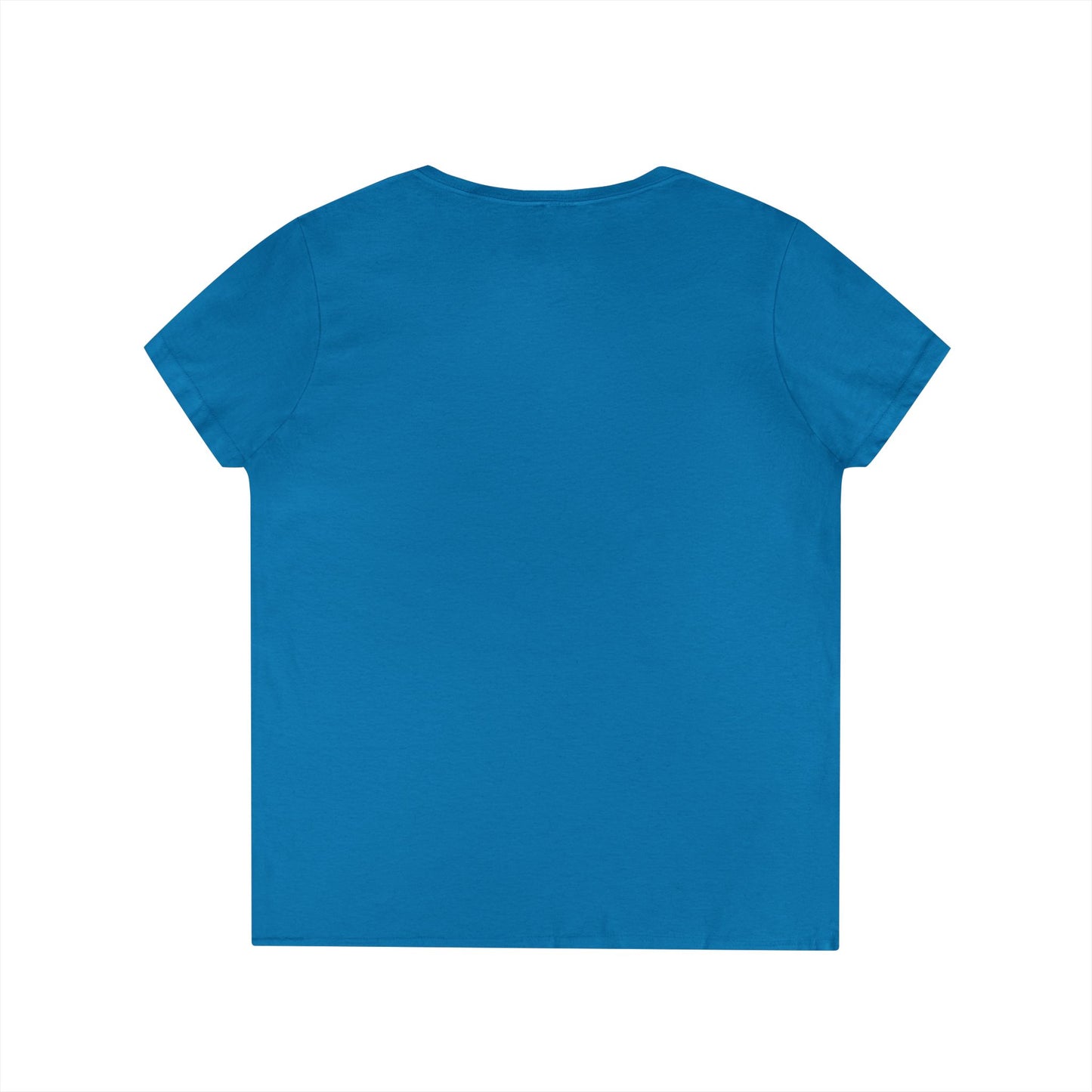 Tee V-Neck  — 'The Nester Owl' Women's Graphic T-Shirt