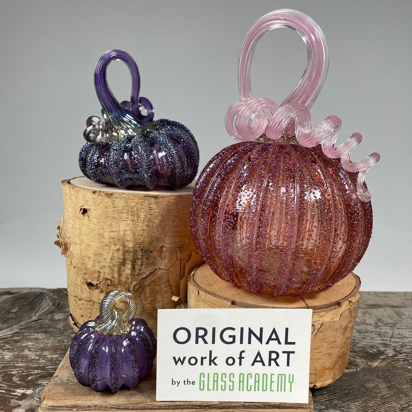 Virtual Pumpkin Show A