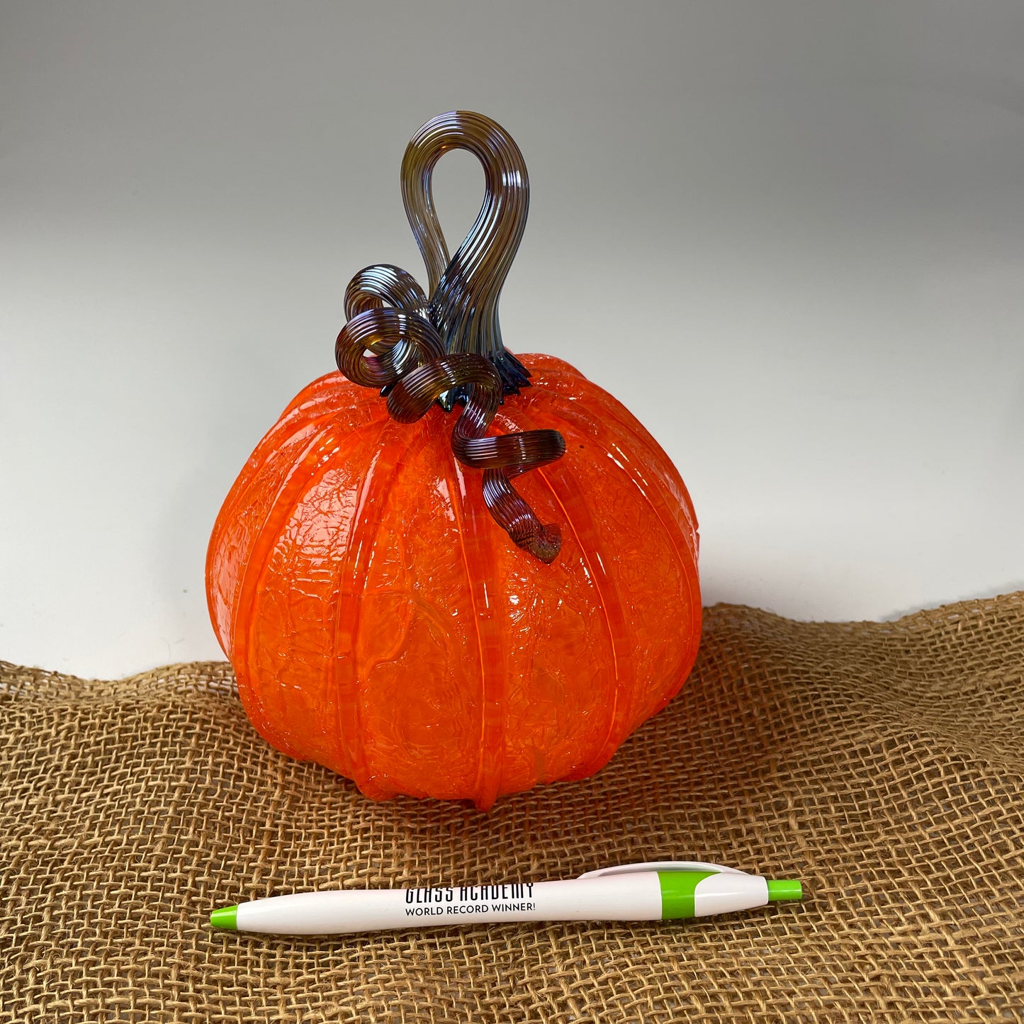2025 Virtual Pumpkin Show