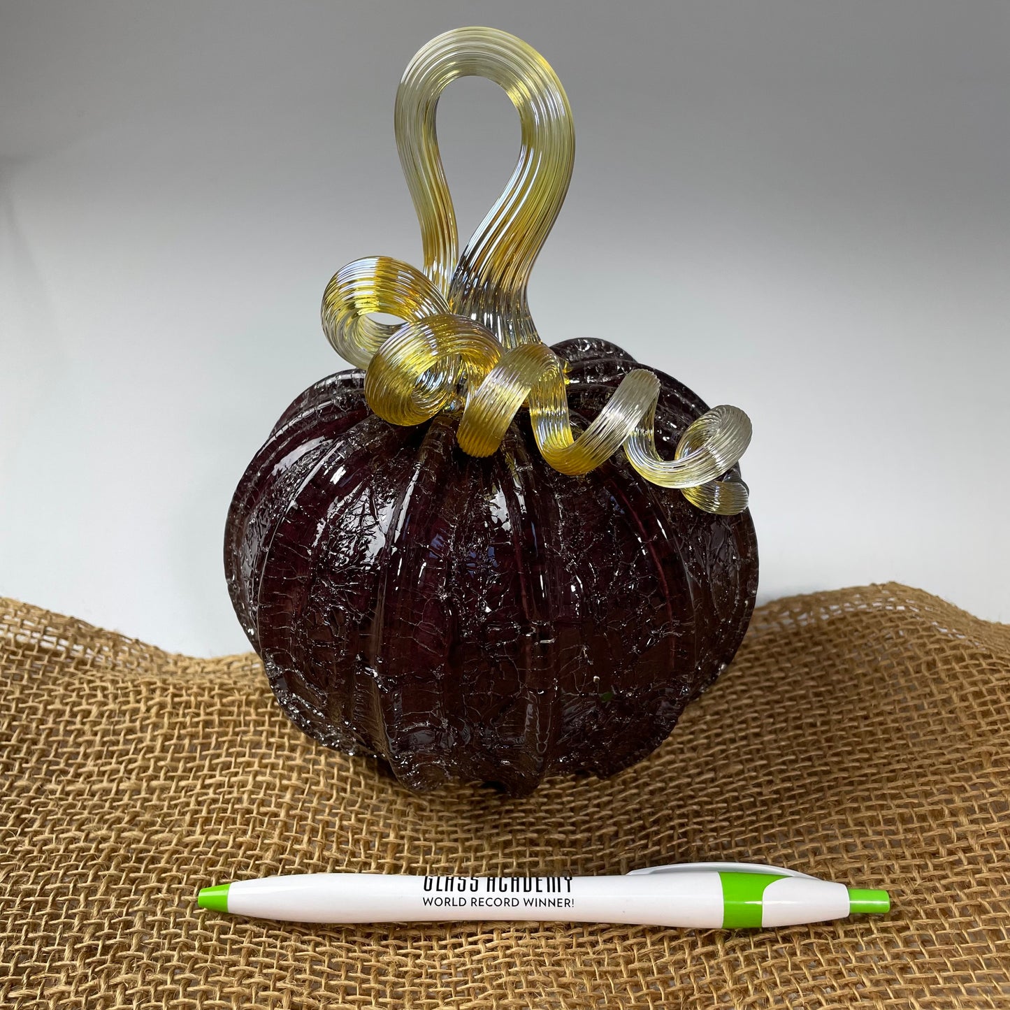 2025 Virtual Pumpkin Show
