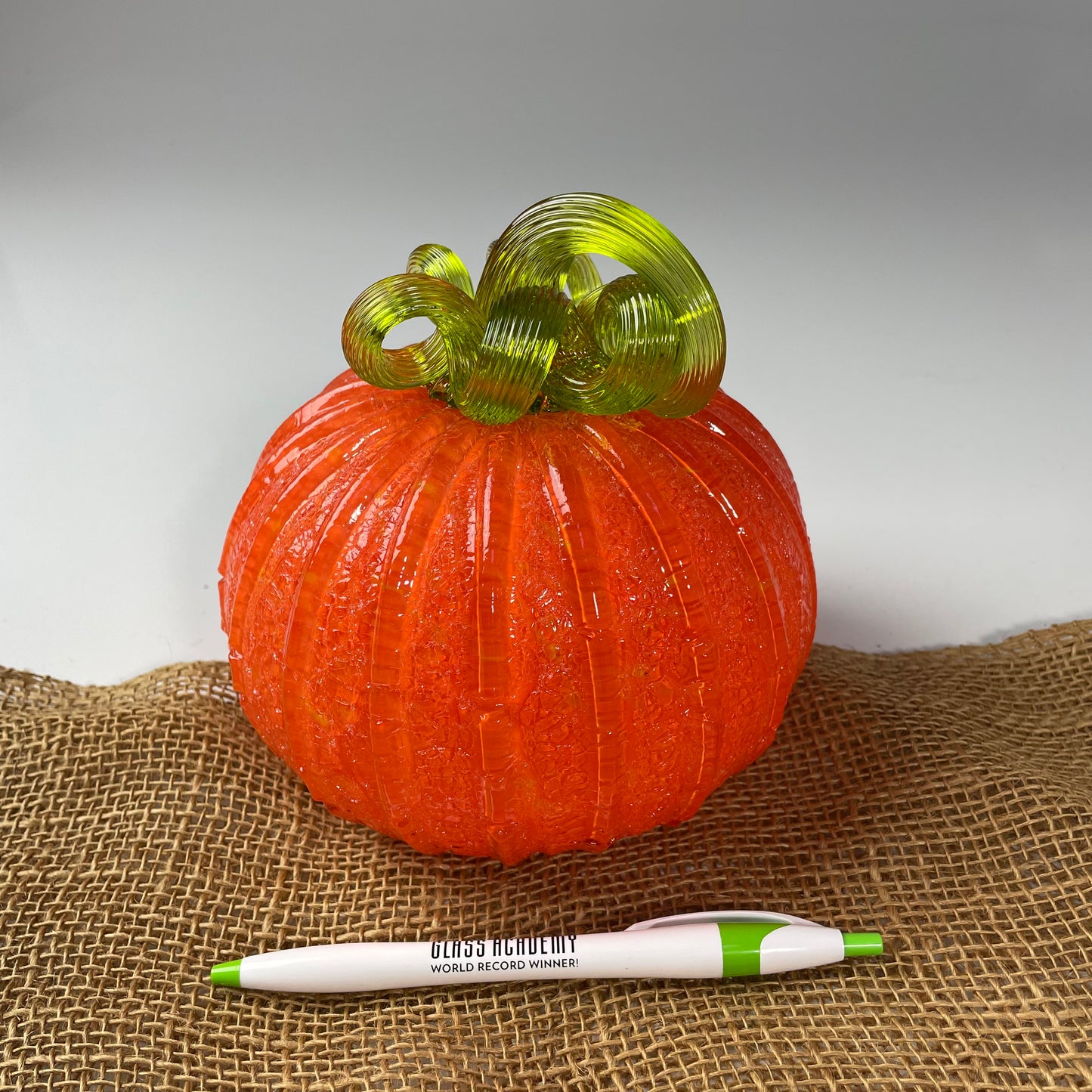 2025 Virtual Pumpkin Show