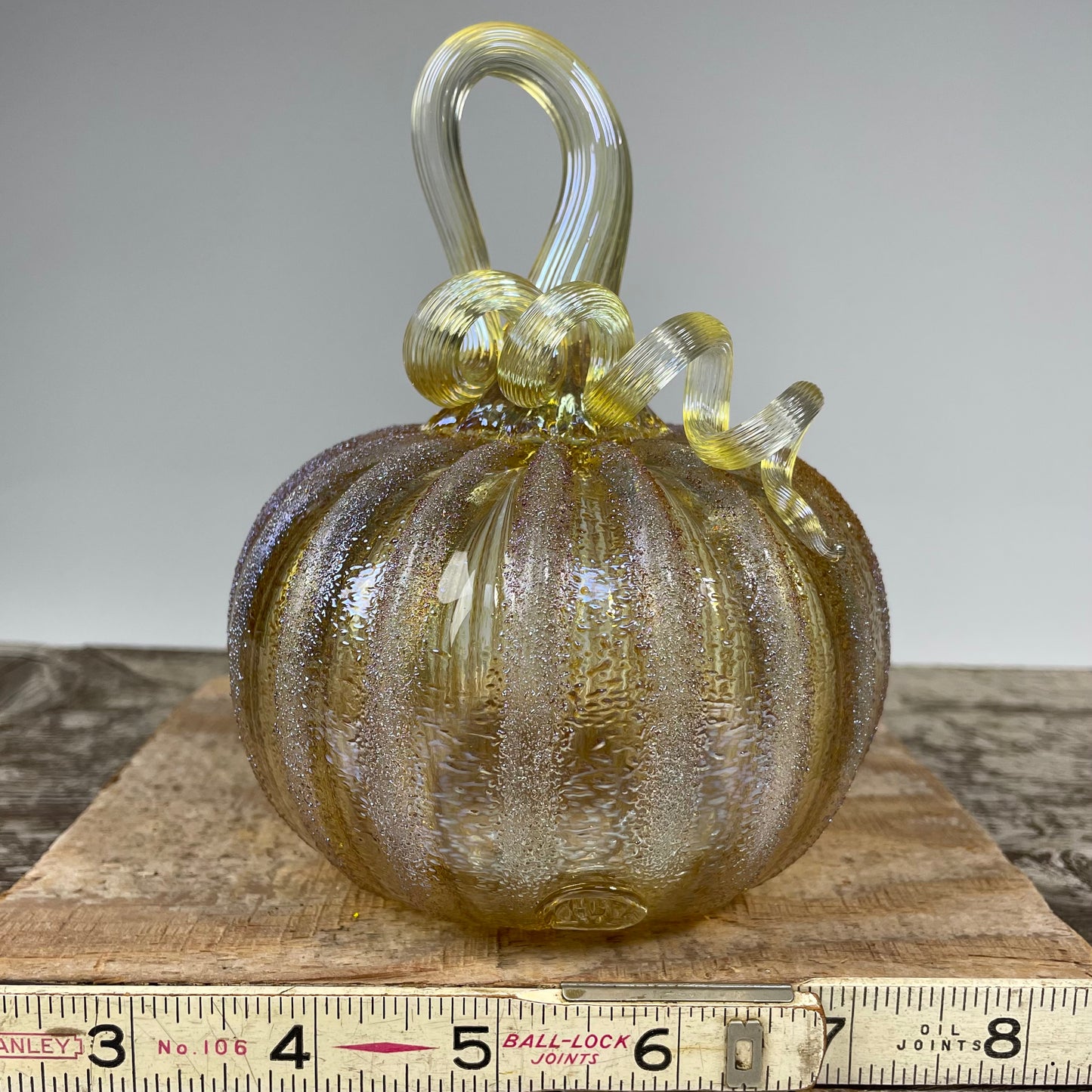 Virtual Pumpkin Show A