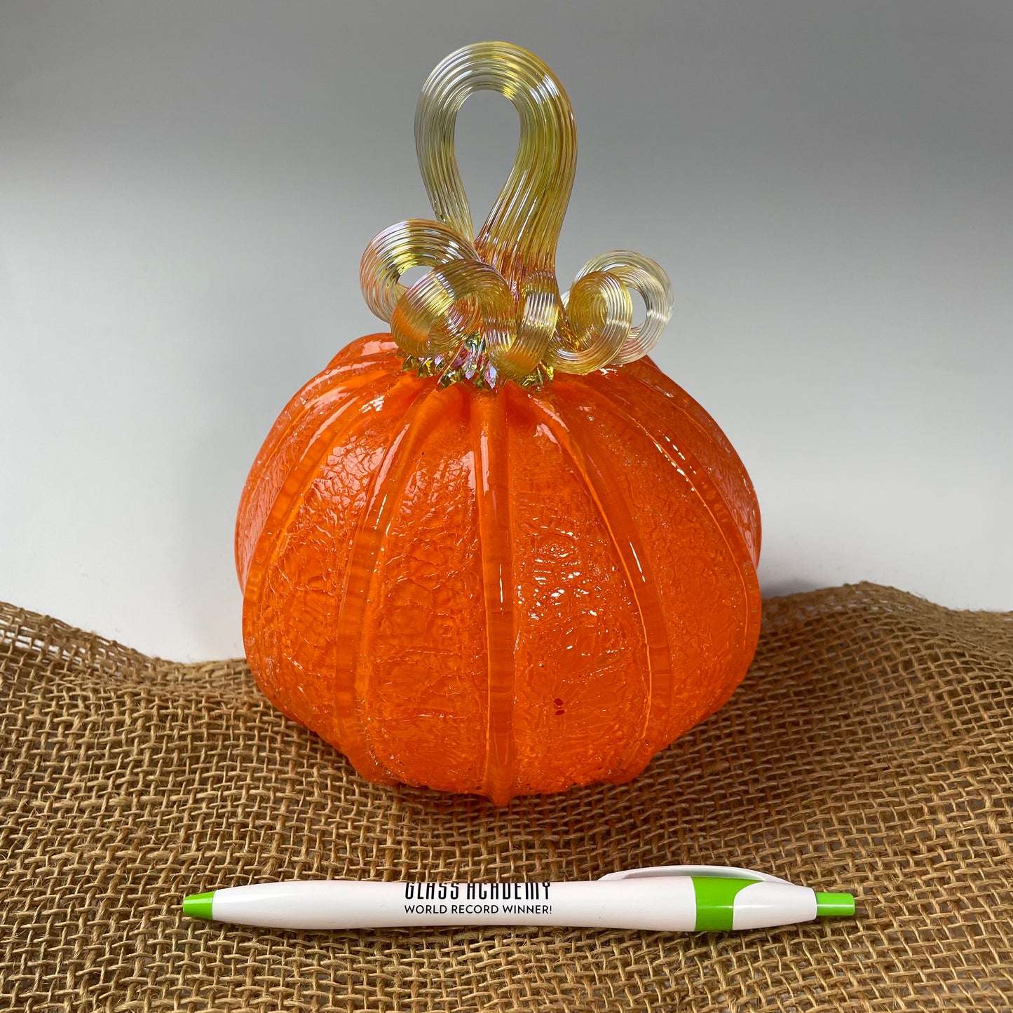 2025 Virtual Pumpkin Show