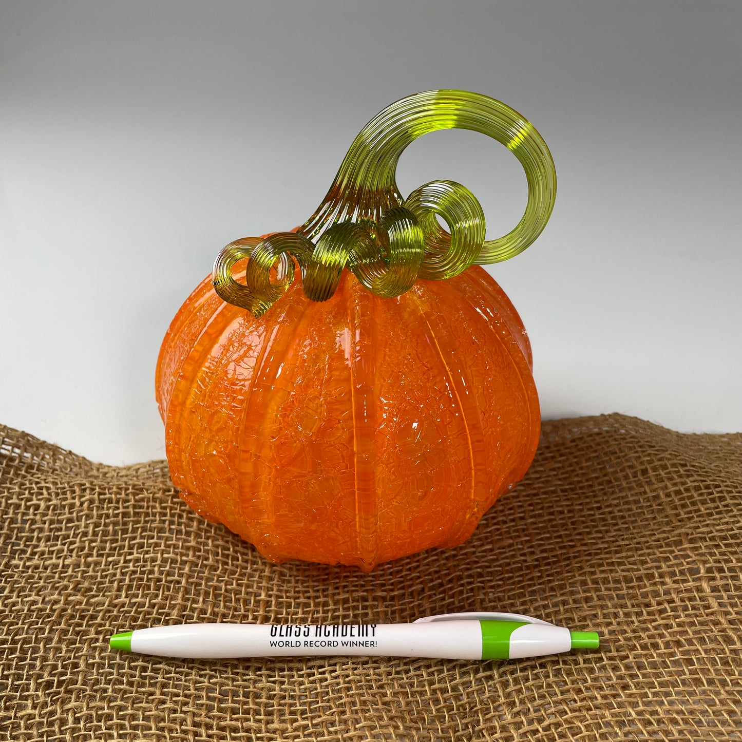 2025 Virtual Pumpkin Show