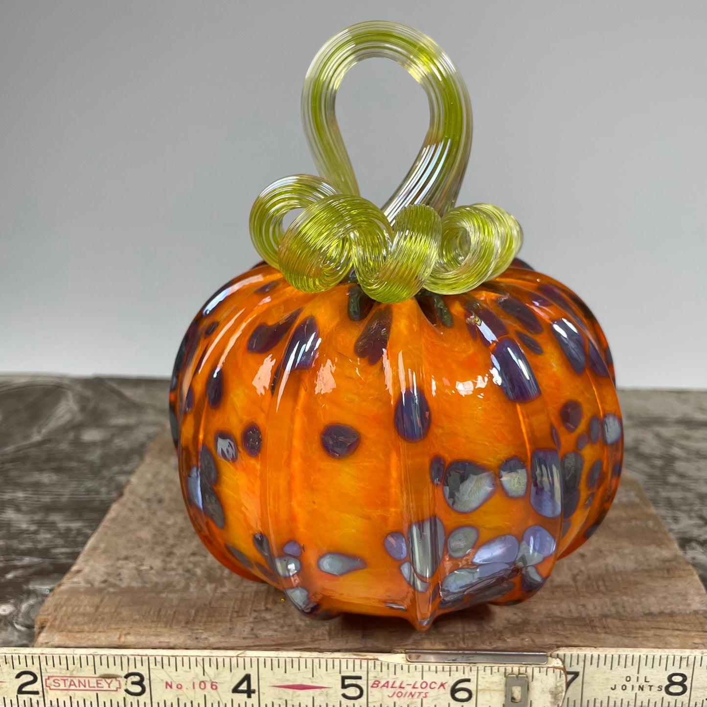Virtual Pumpkin Show A
