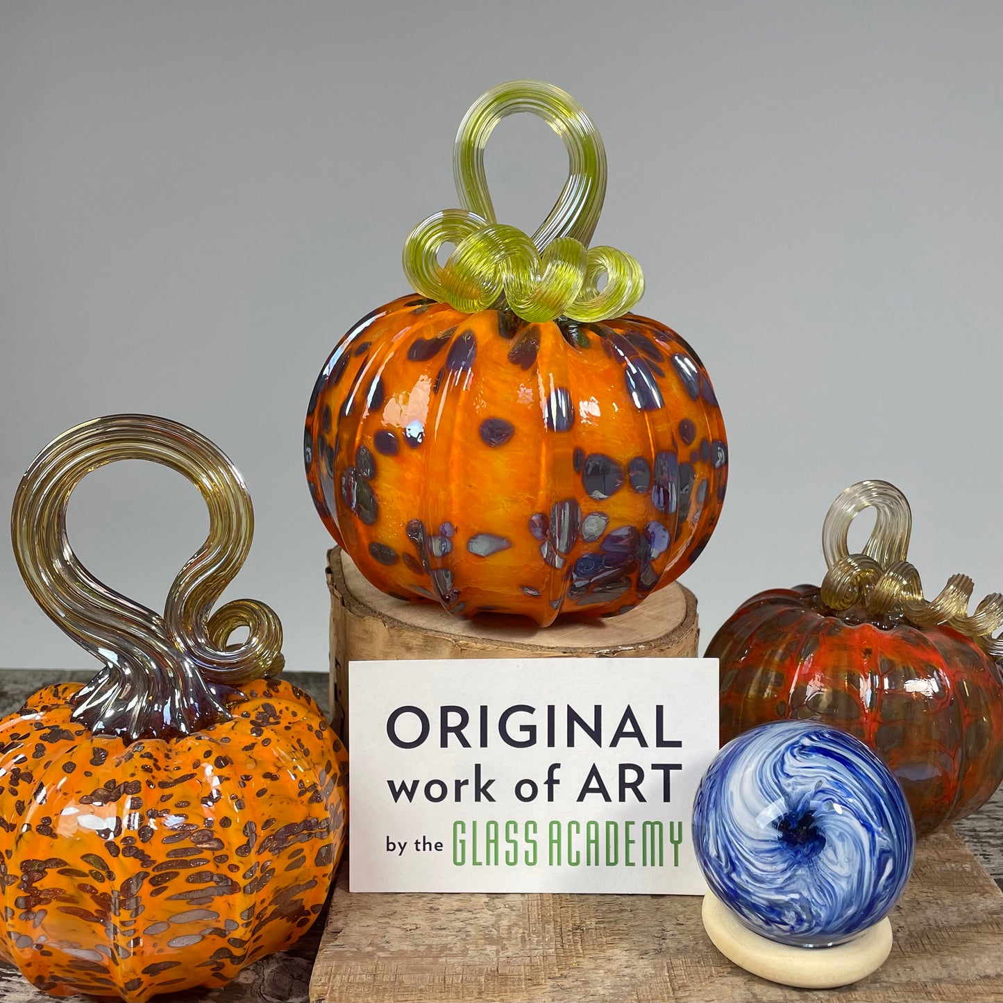 Virtual Pumpkin Show A