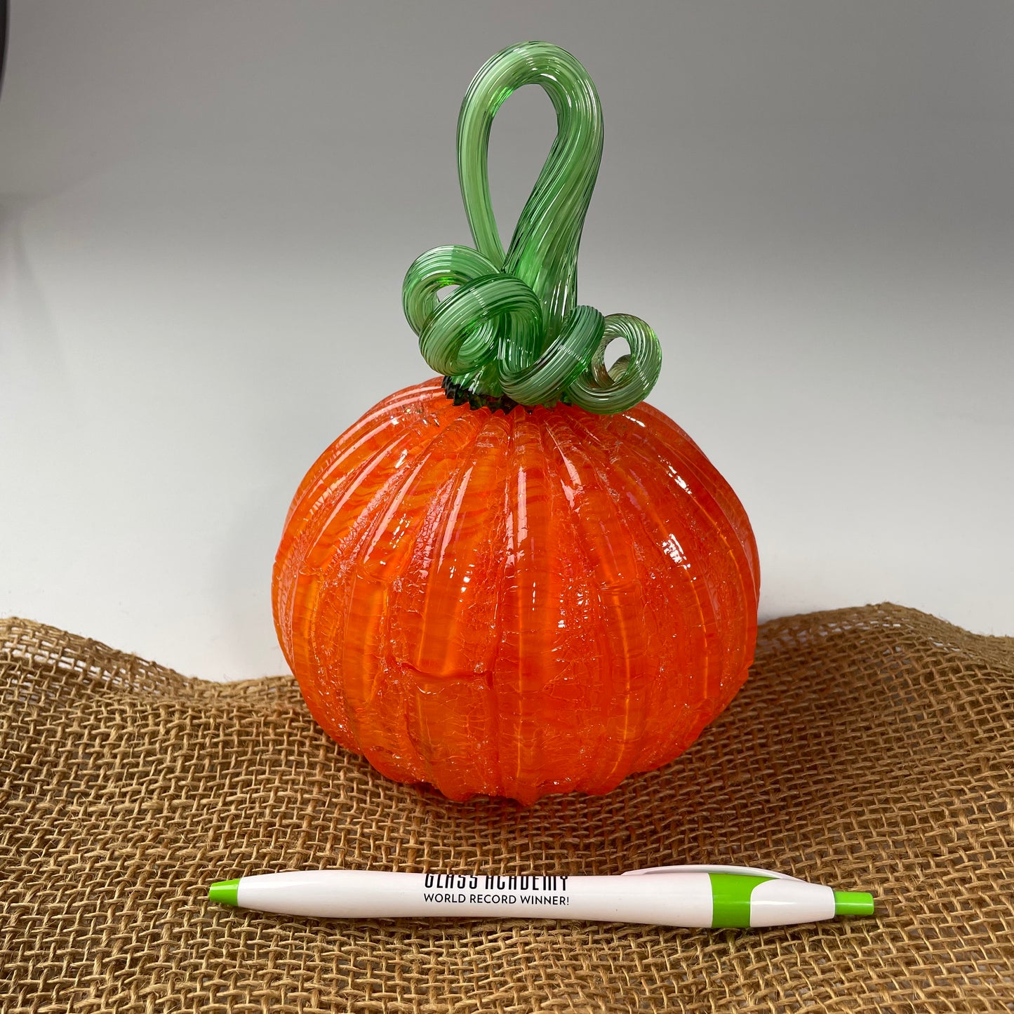 2025 Virtual Pumpkin Show