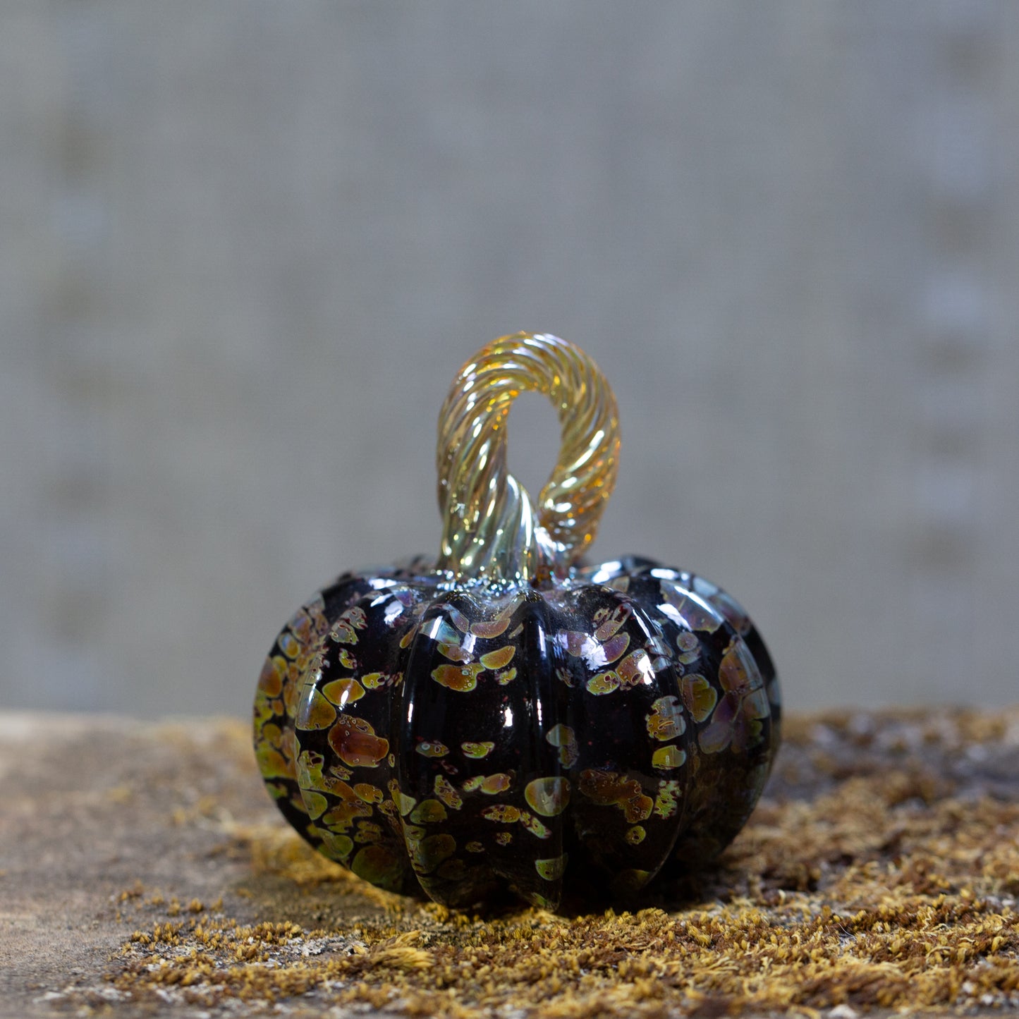 Pumpkinette Mini Pumpkins