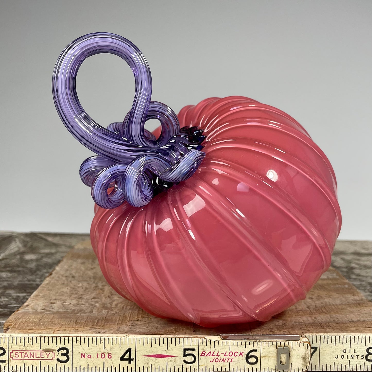 Virtual Pumpkin Show B