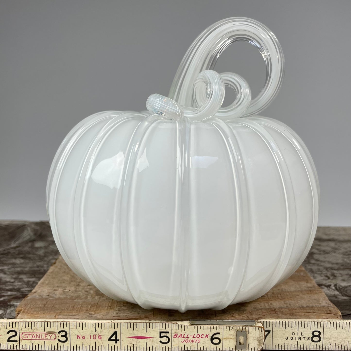 Virtual Pumpkin Show B