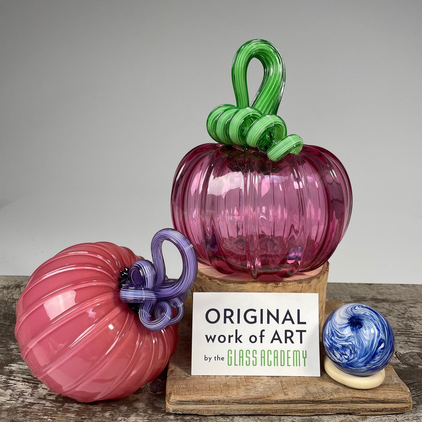Virtual Pumpkin Show B