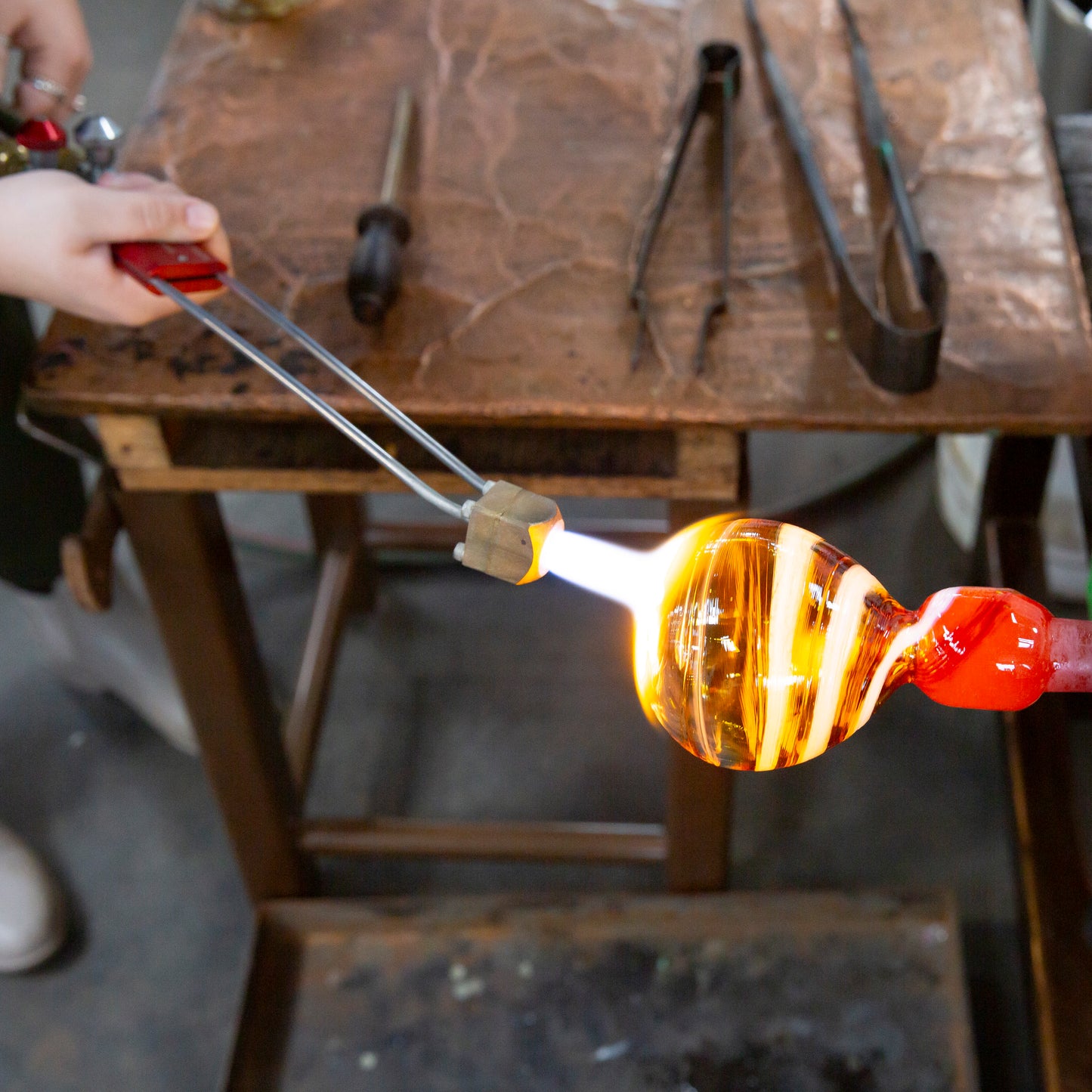 CLASS EXPERIENCE: ERO ~ A Glass Hangabout for Plants