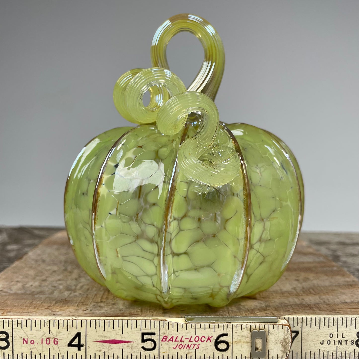 Virtual Pumpkin Show B