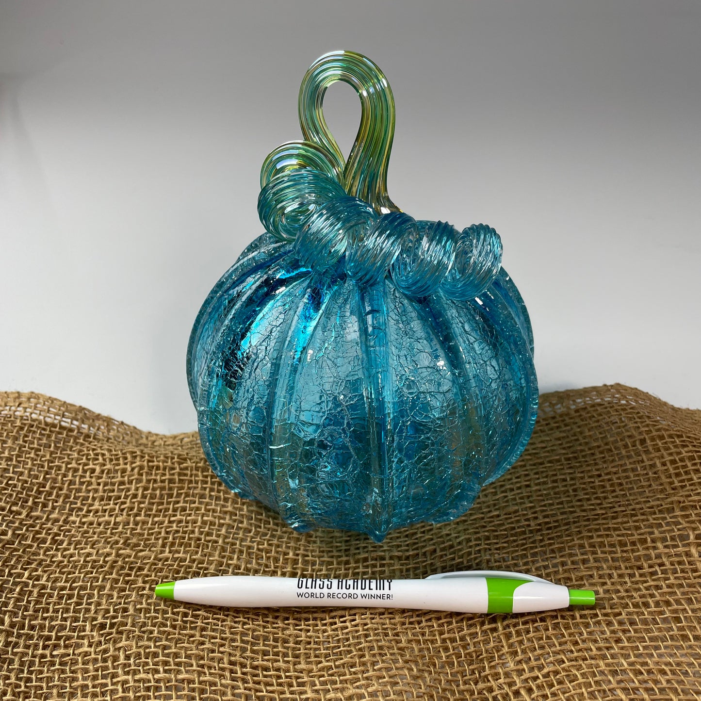 2025 Virtual Pumpkin Show