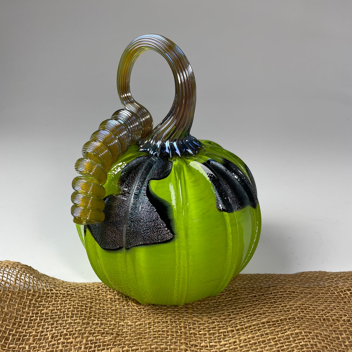 2025 Virtual Pumpkin Show