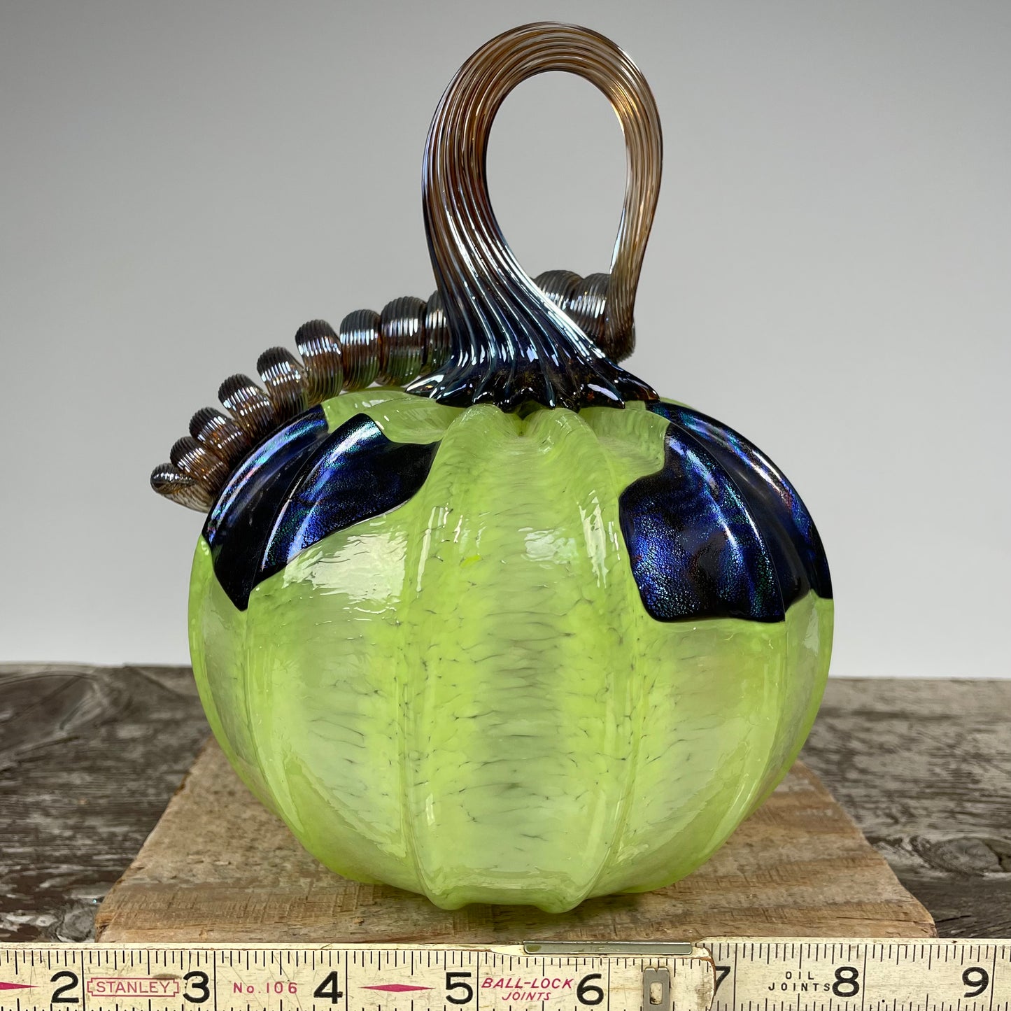 Virtual Pumpkin Show B