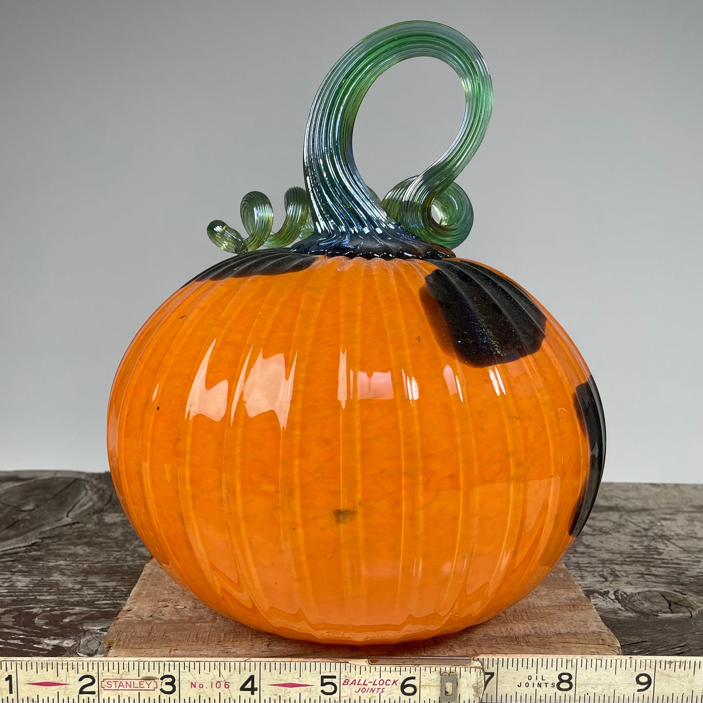 Virtual Pumpkin Show B