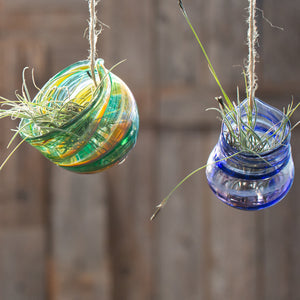 CLASS EXPERIENCE: ERO ~ A Glass Hangabout for Plants