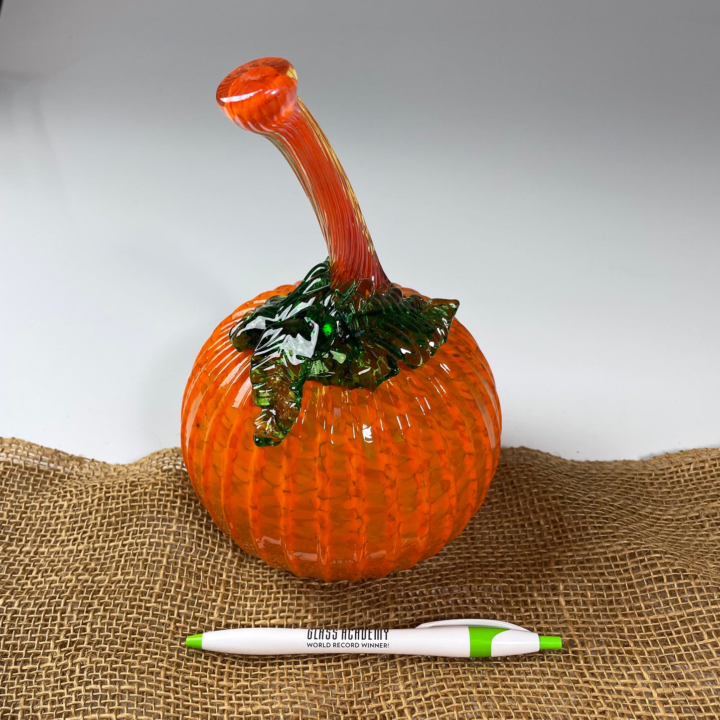 2025 Virtual Pumpkin Show
