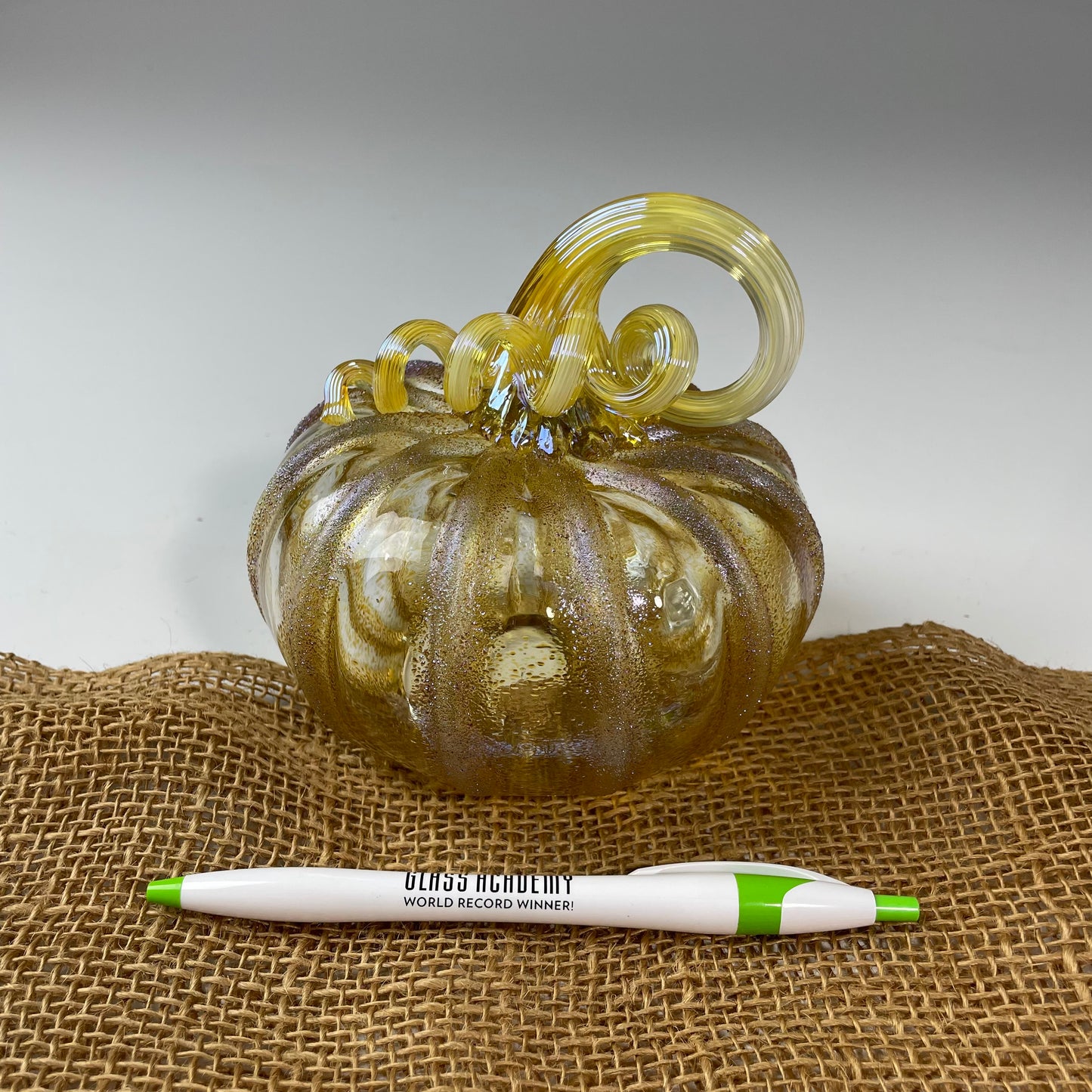 2025 Virtual Pumpkin Show
