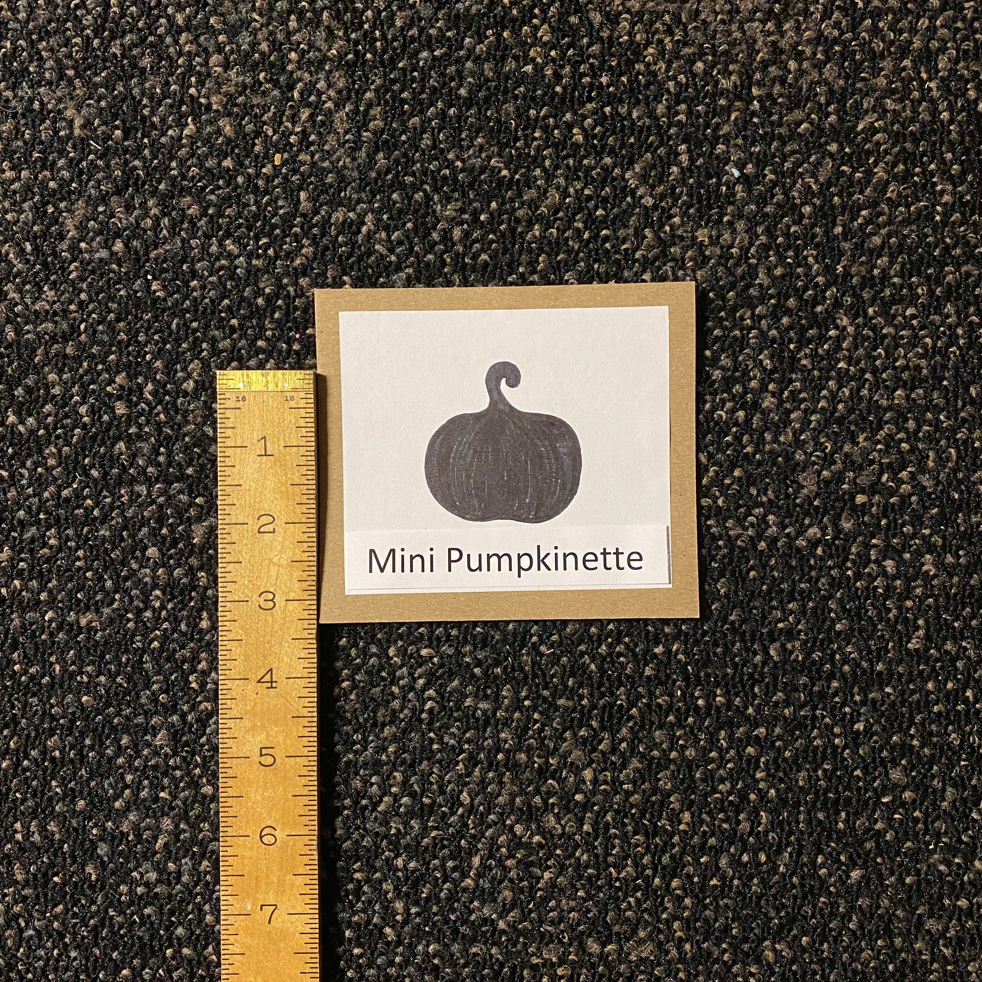 A ruler next to an image of a mini pumpkin shows that mini pumpkins are about 3 inches tall.