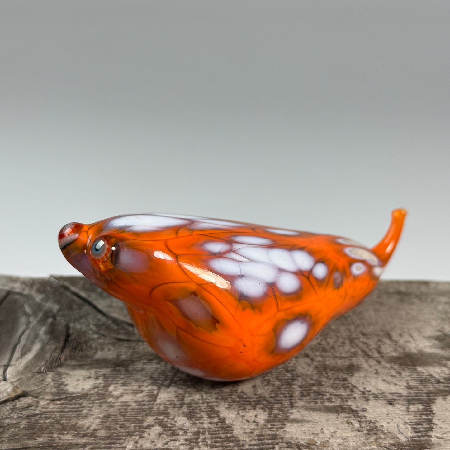 Glass Slugs- One & Done- Spring 2026